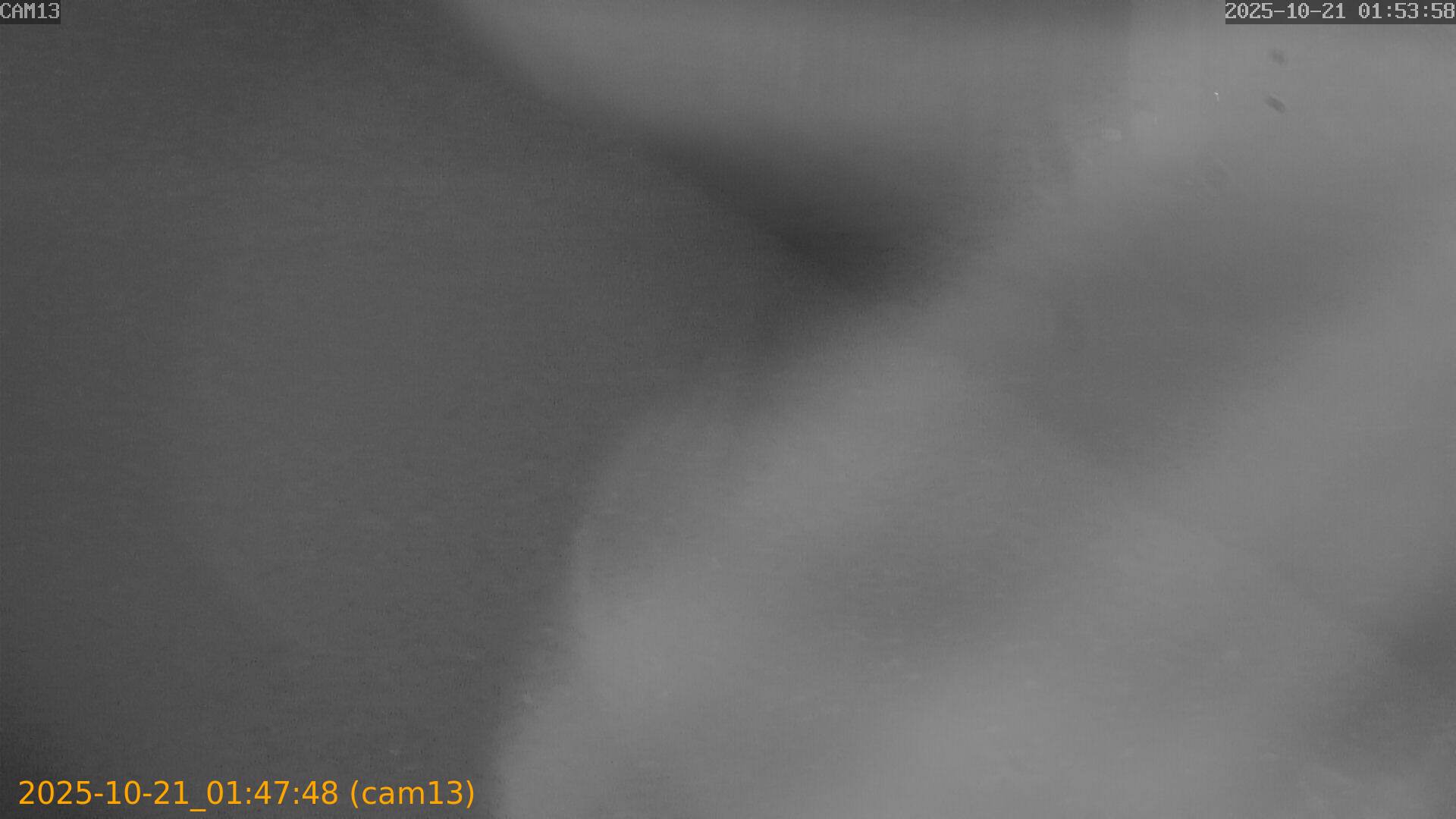 20251021014748