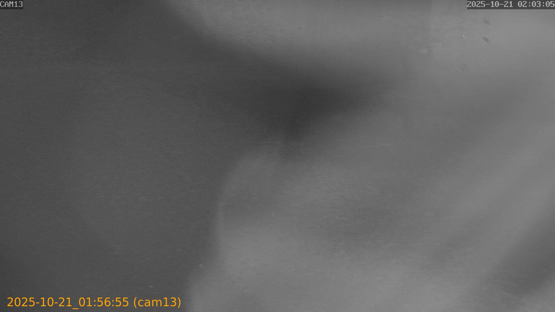 20251021015655