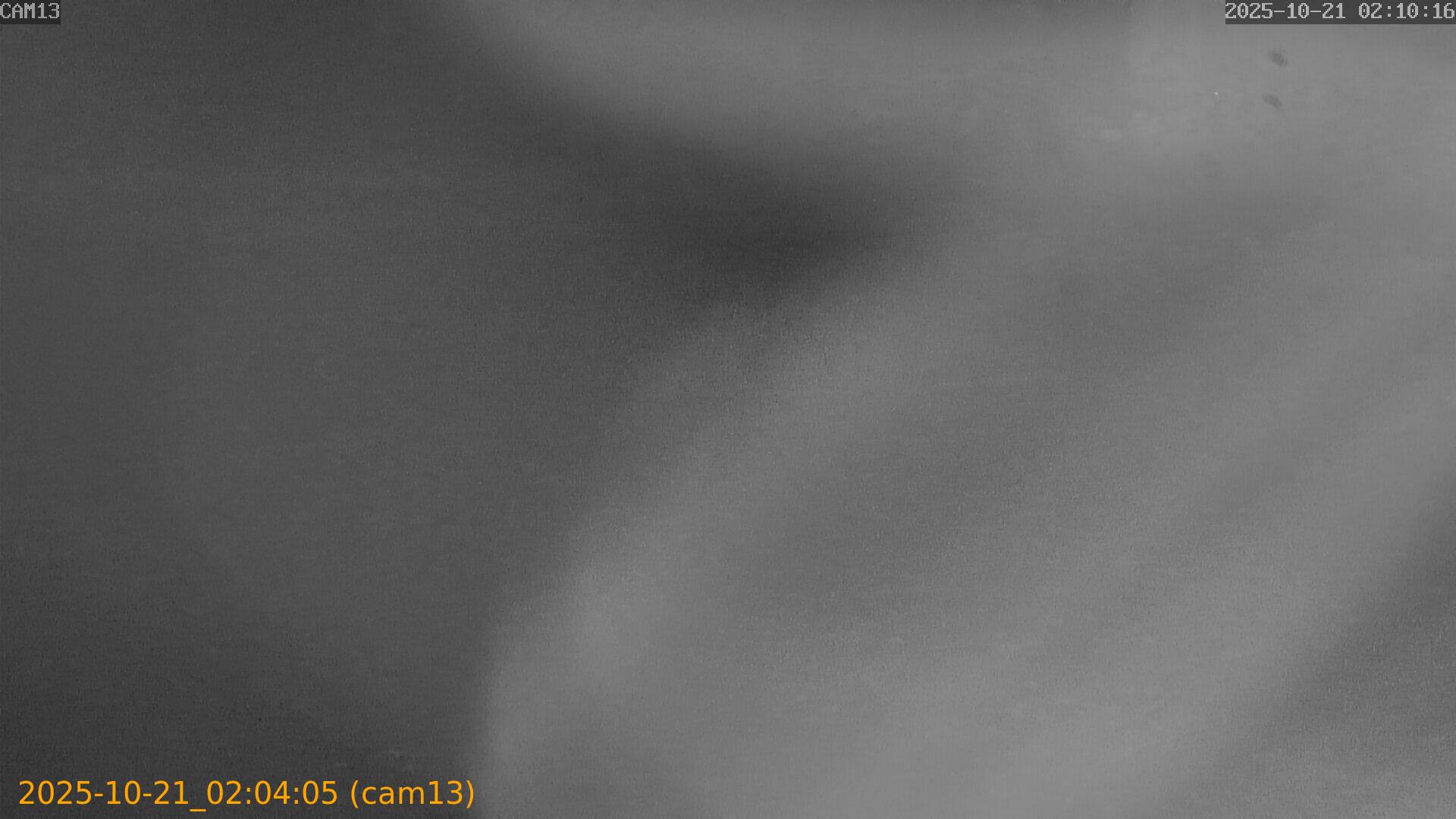 20251021020405