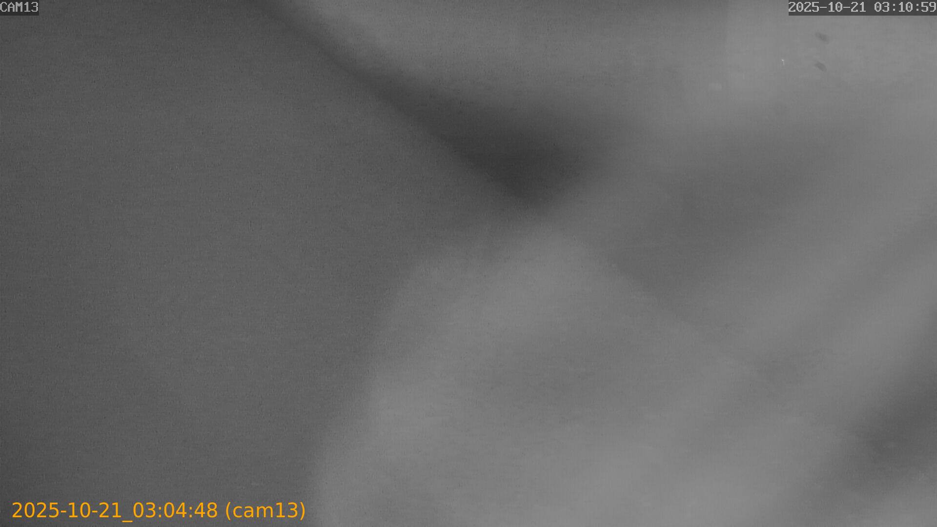 20251021030448