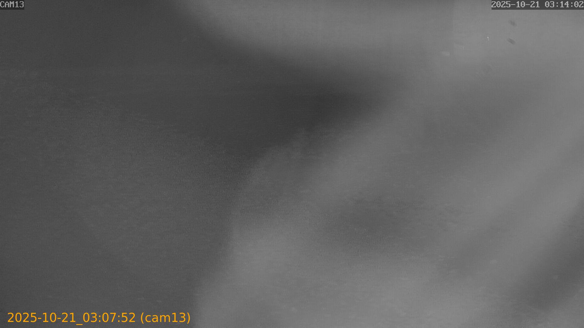 20251021030752
