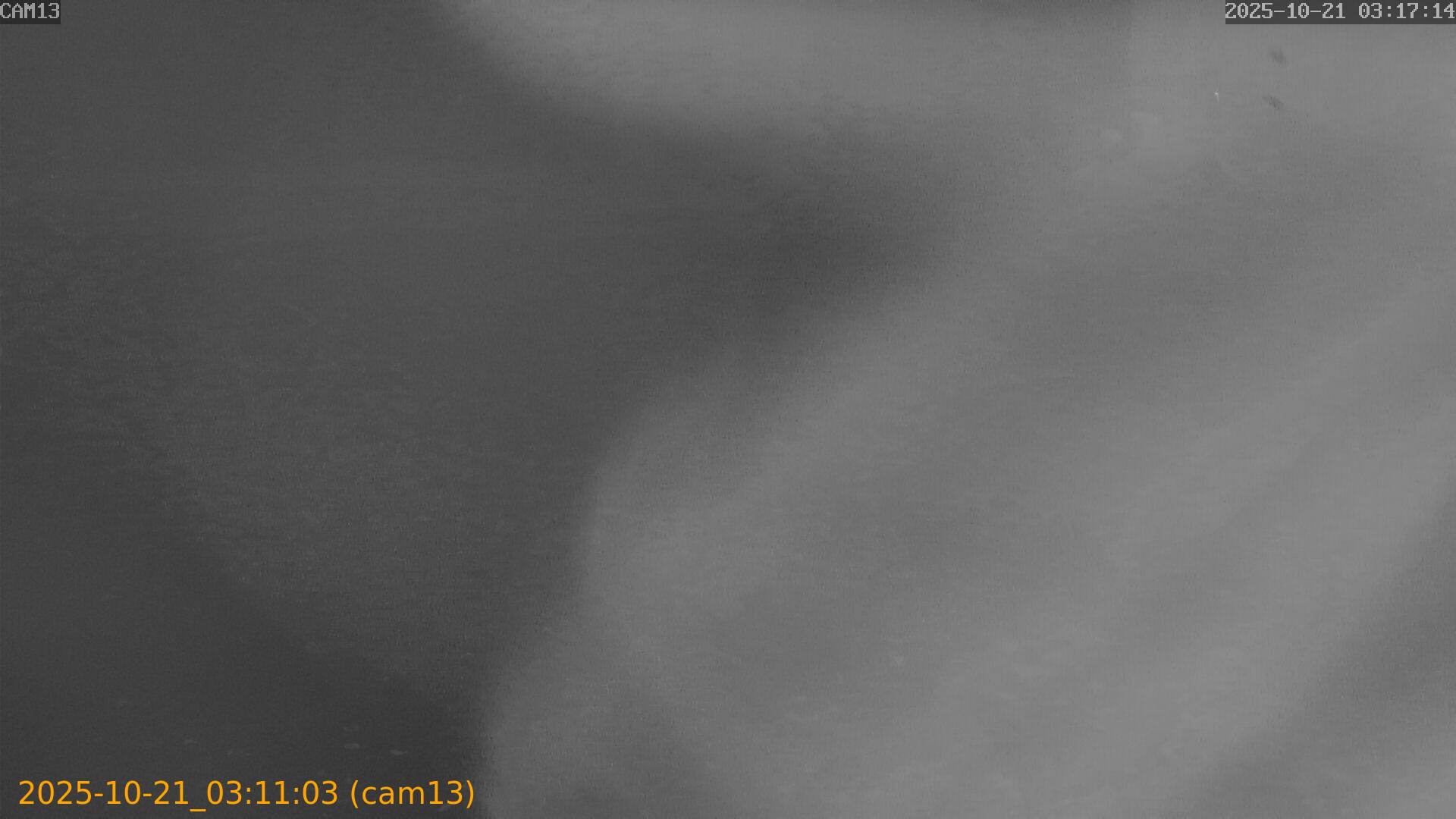 20251021031103