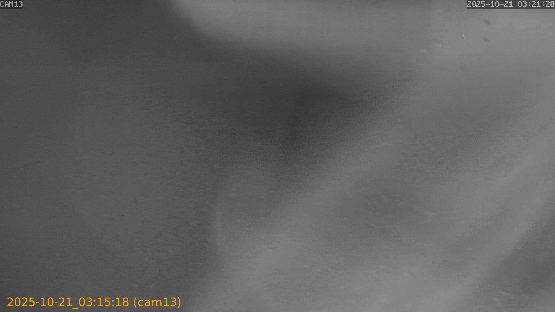20251021031518