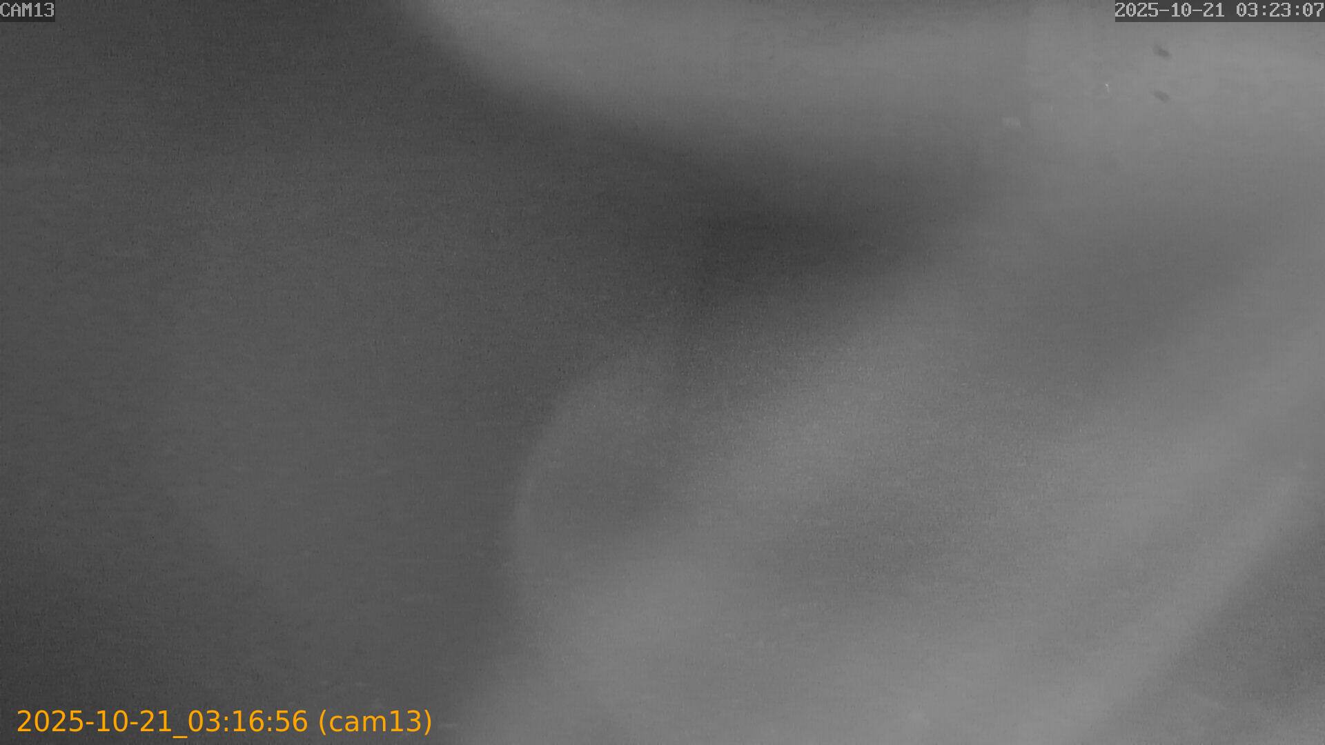 20251021031656