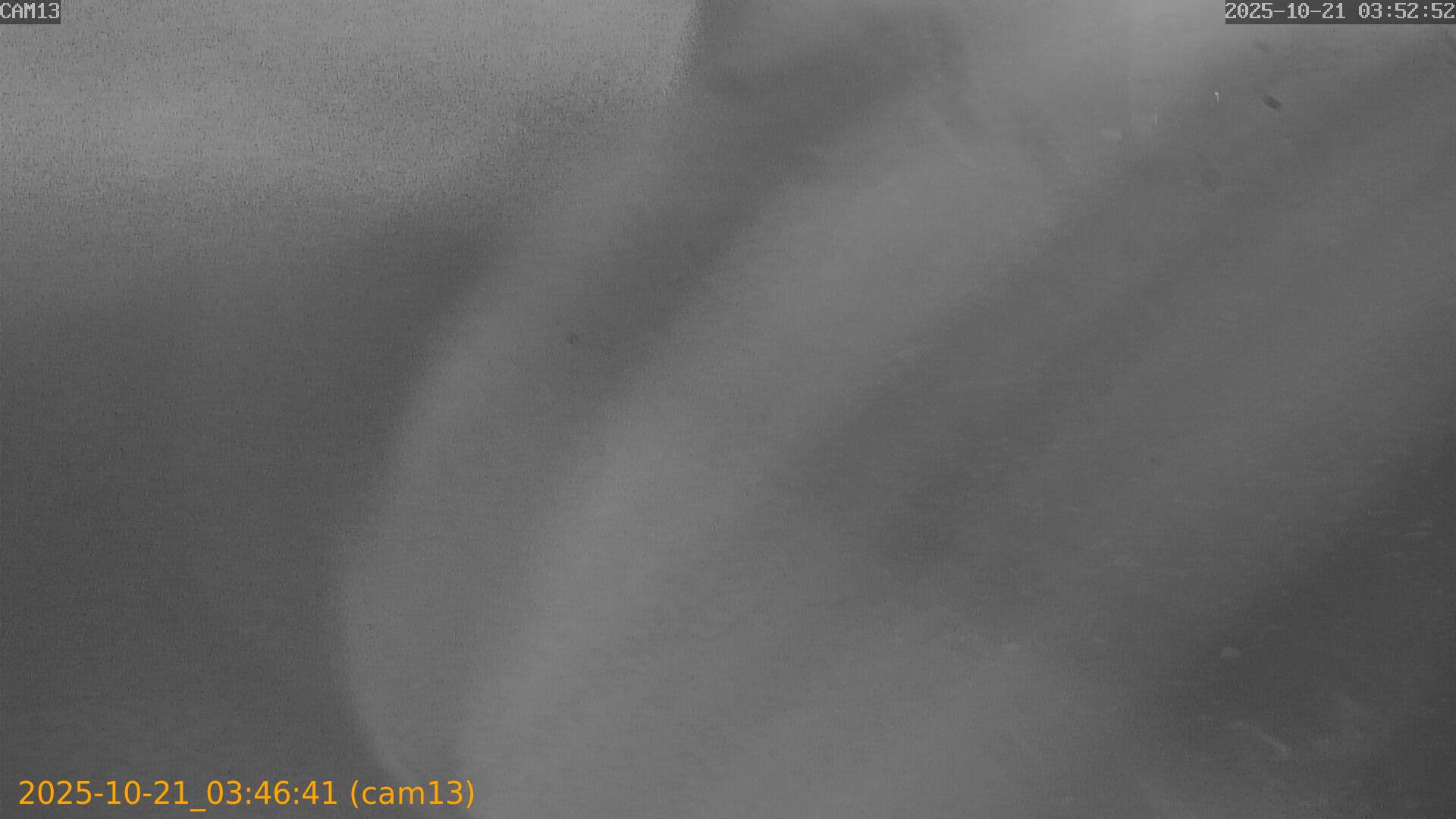 20251021034641