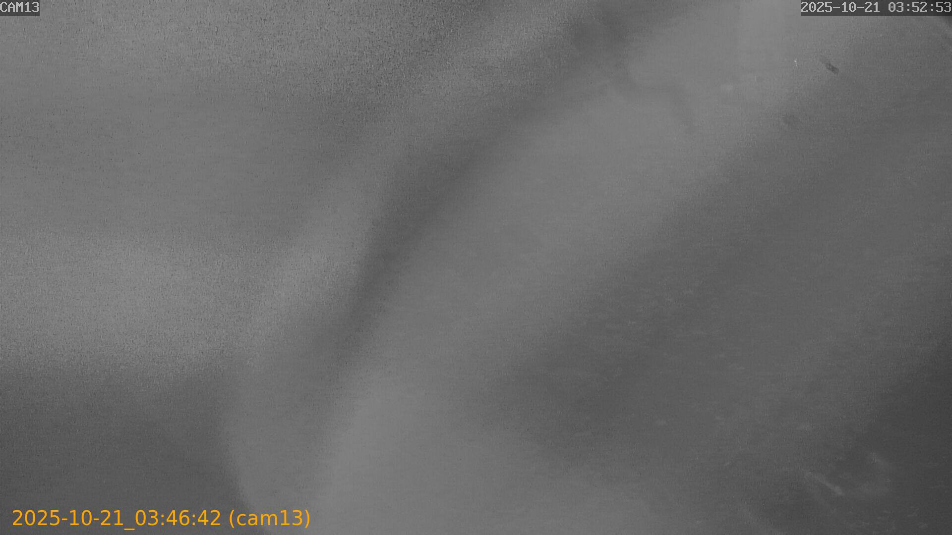 20251021034642