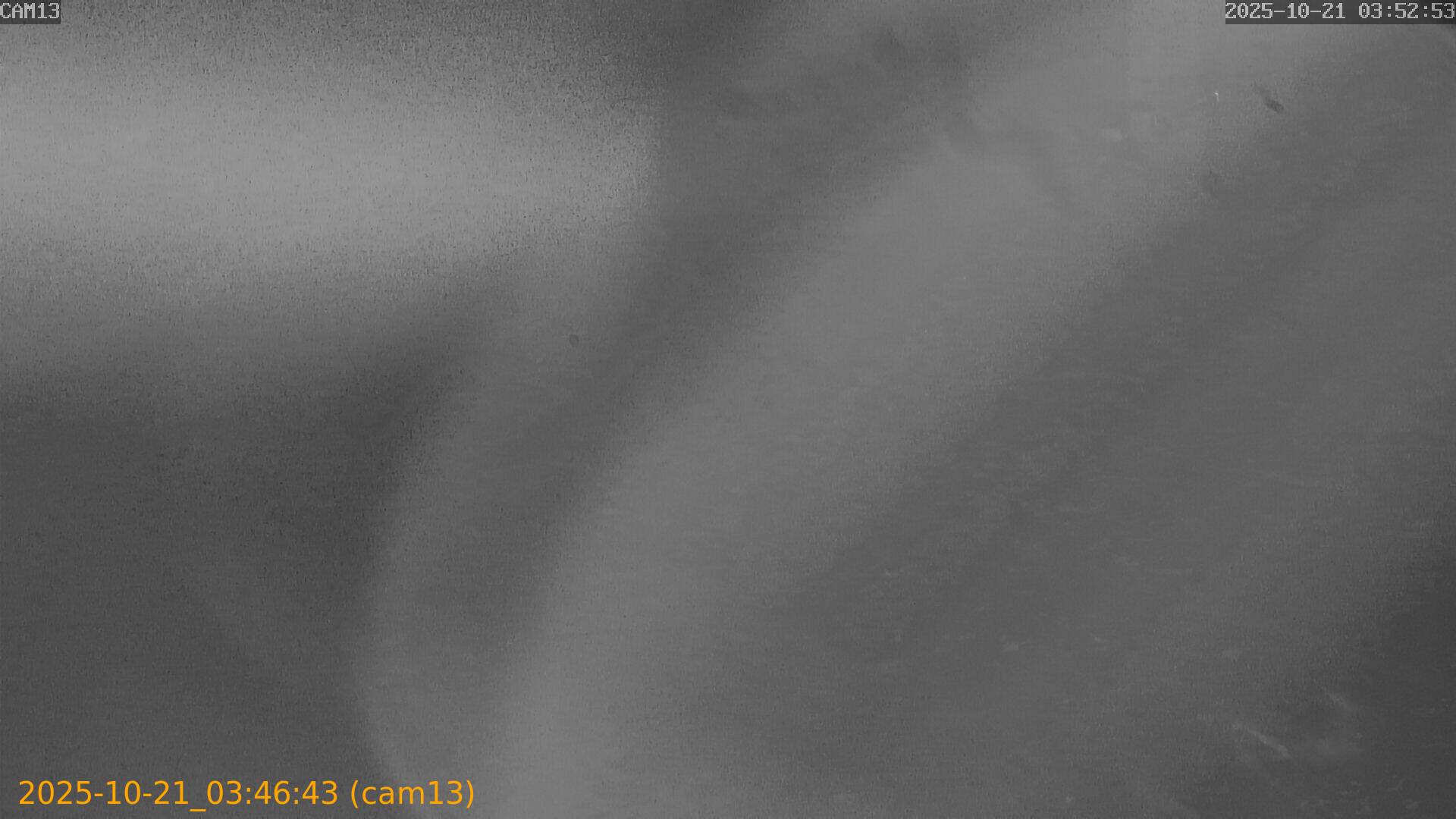 20251021034643