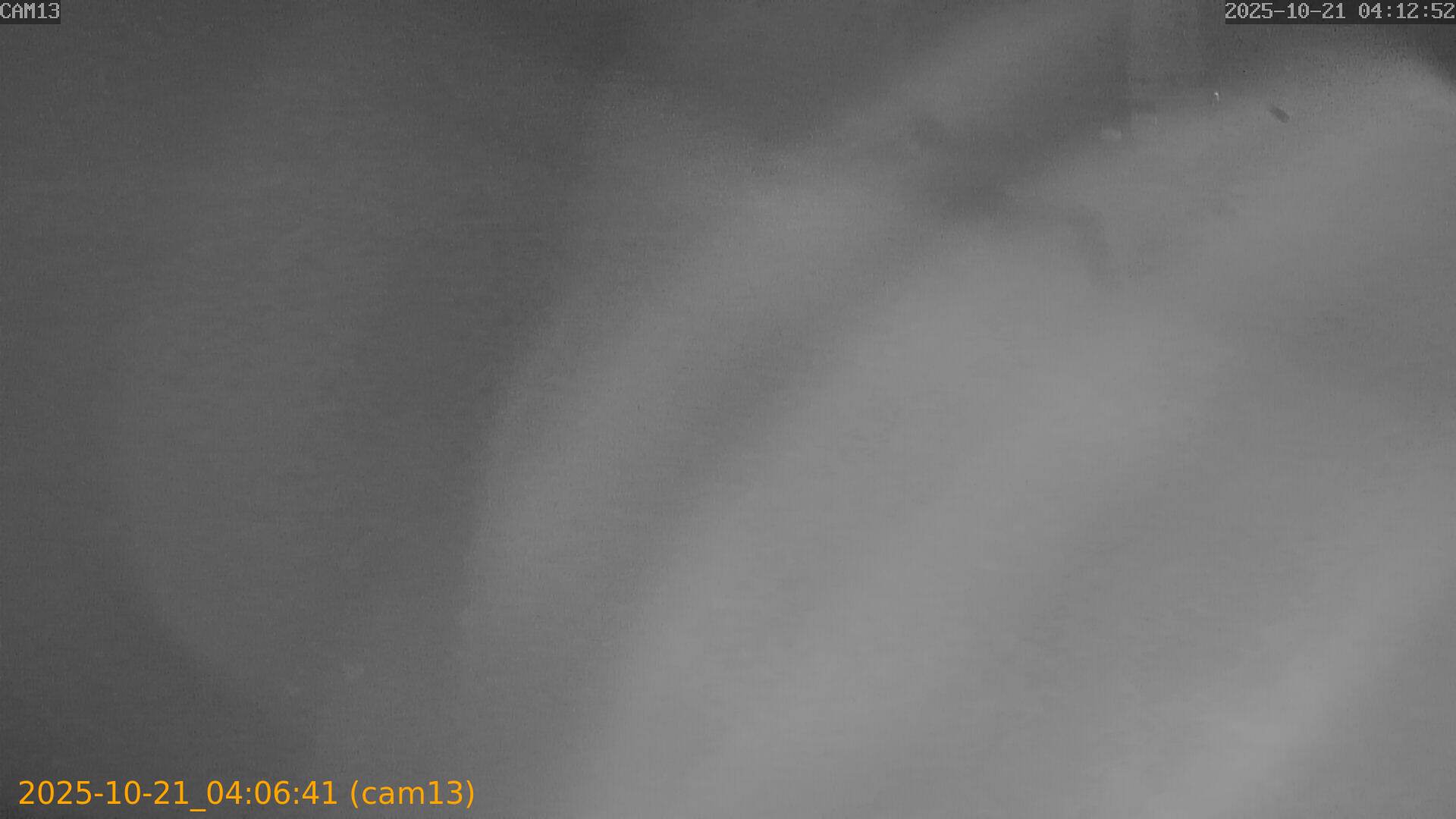 20251021040641