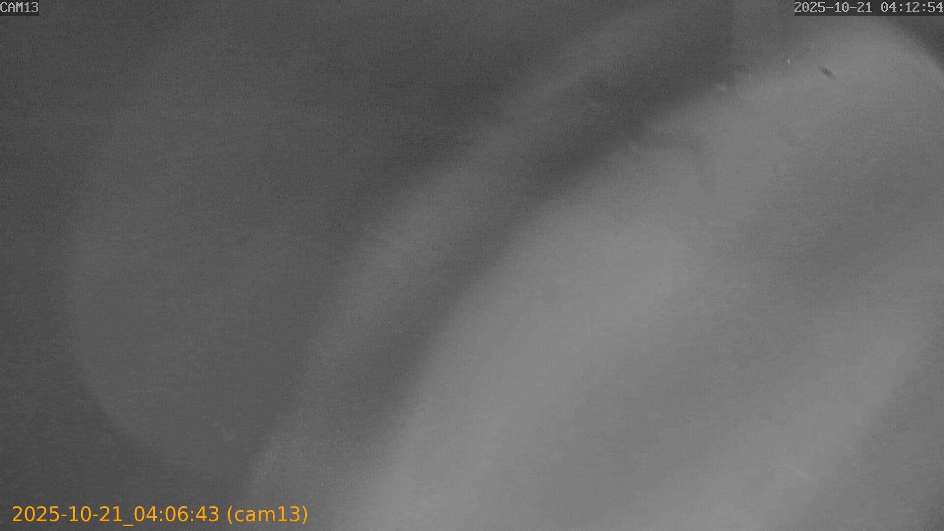 20251021040643