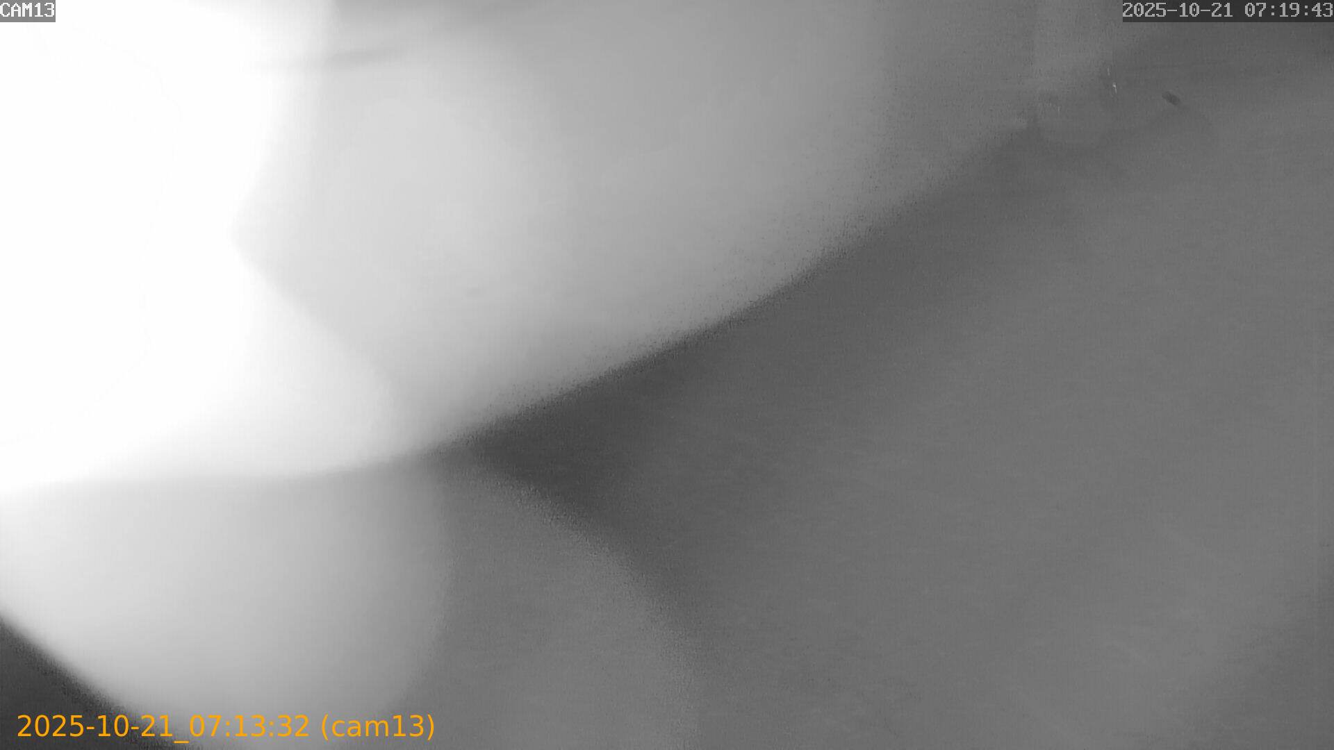 20251021071332