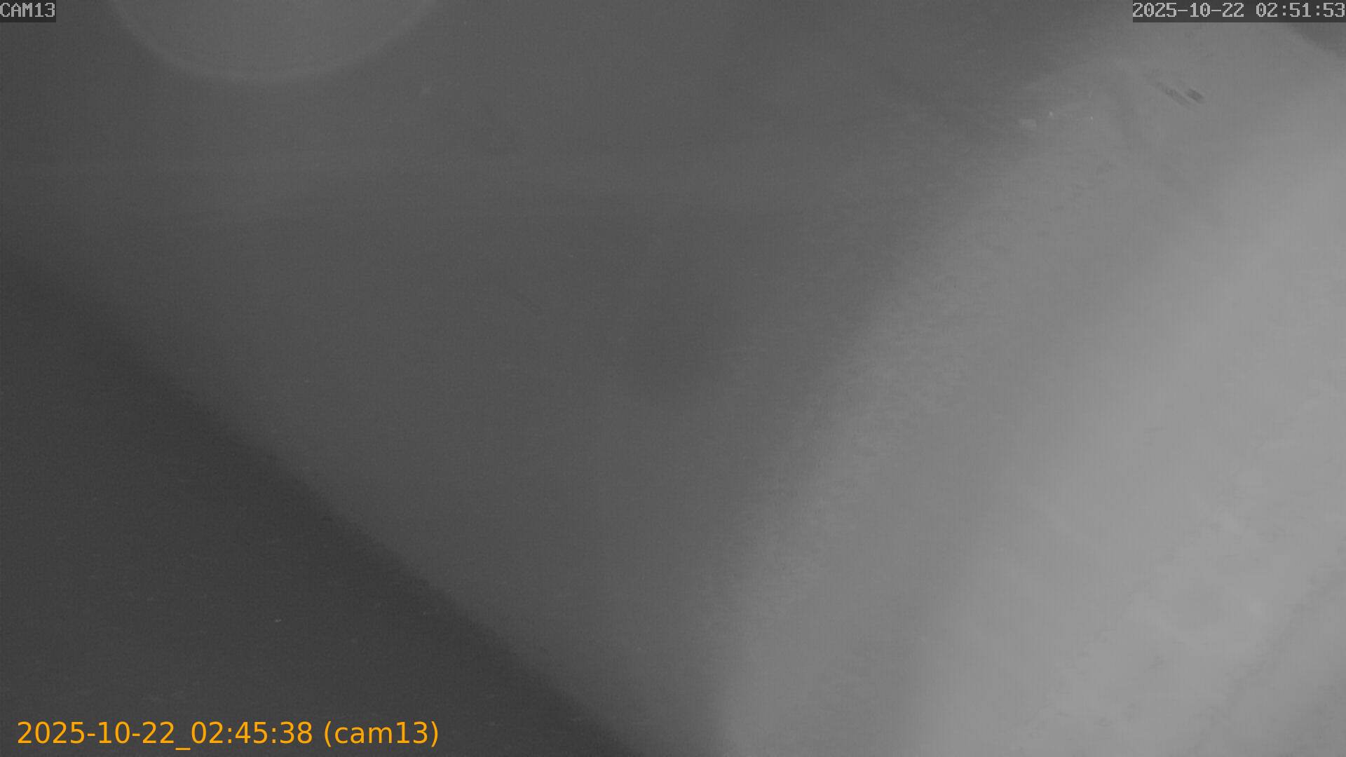20251022024538
