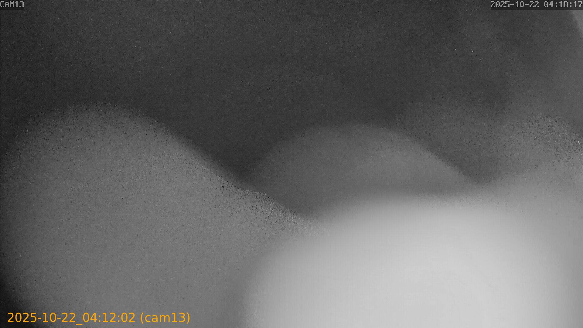 20251022041202