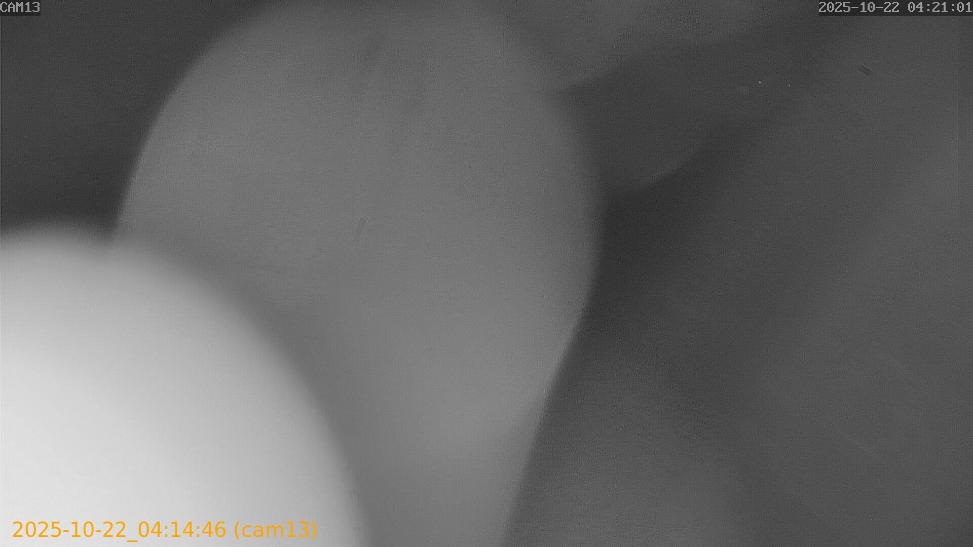 thumbnail_20251022041446