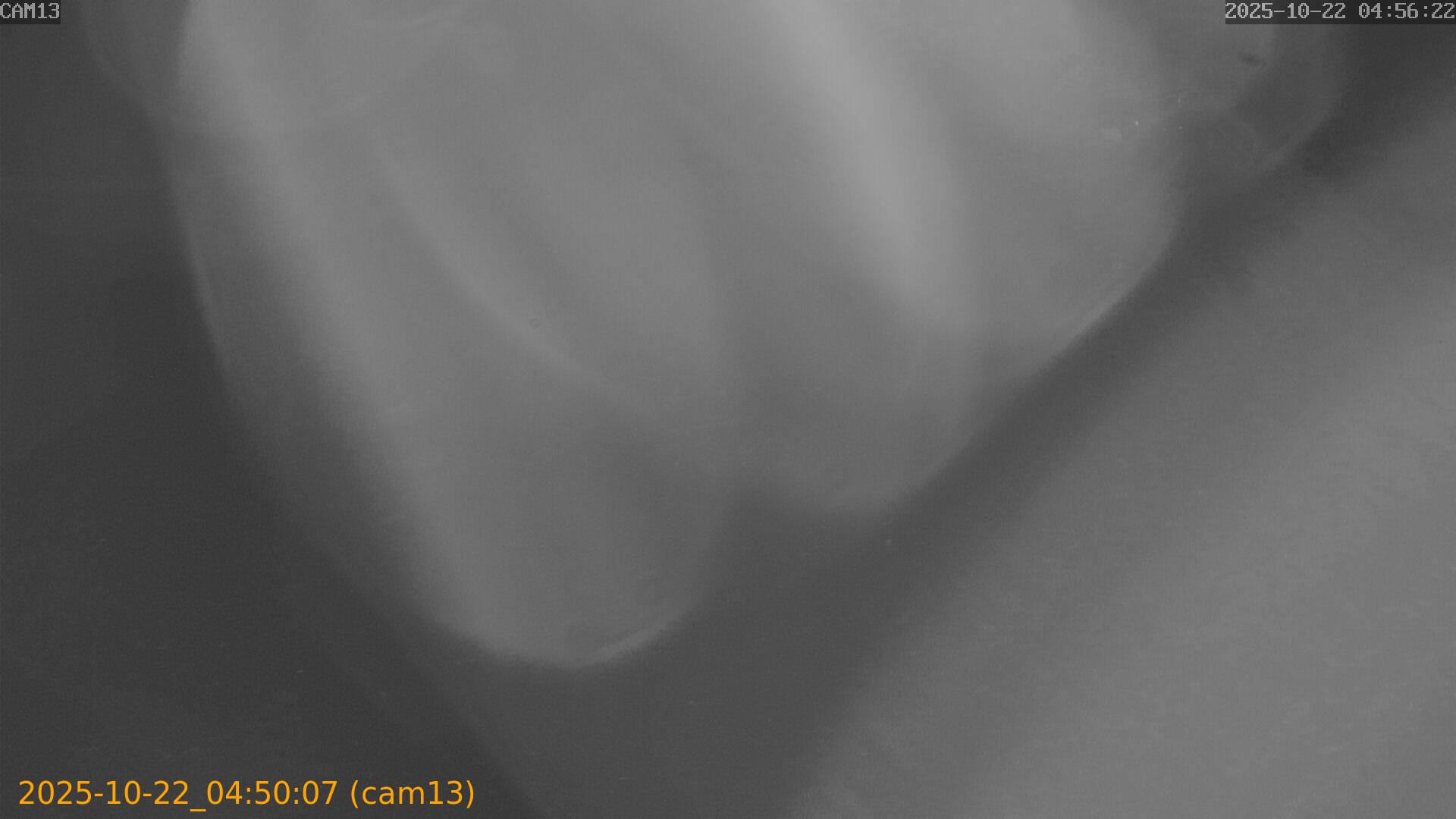 20251022045007