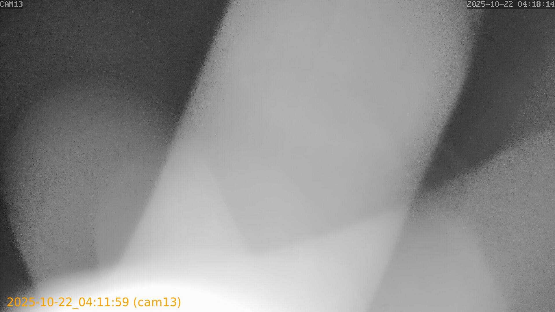 thumbnail_202510220411