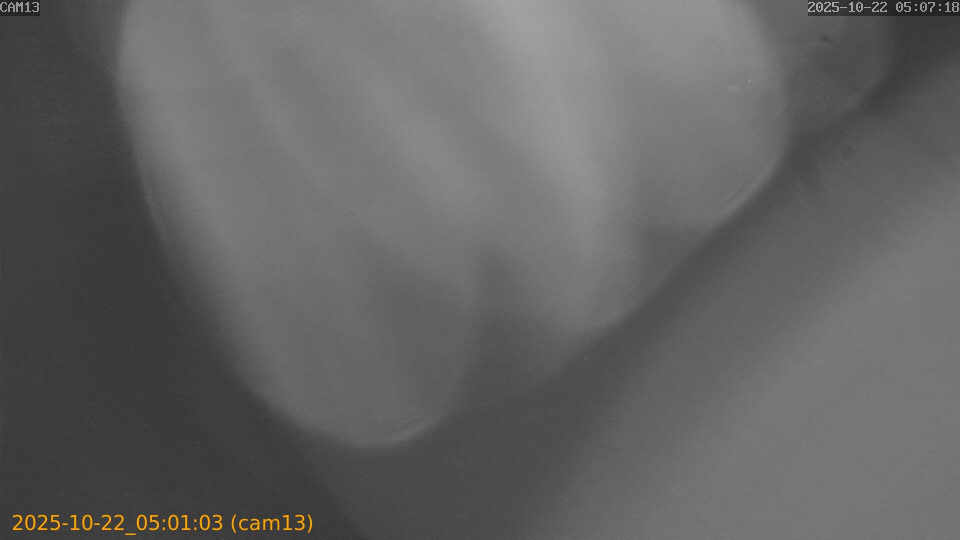 20251022050103