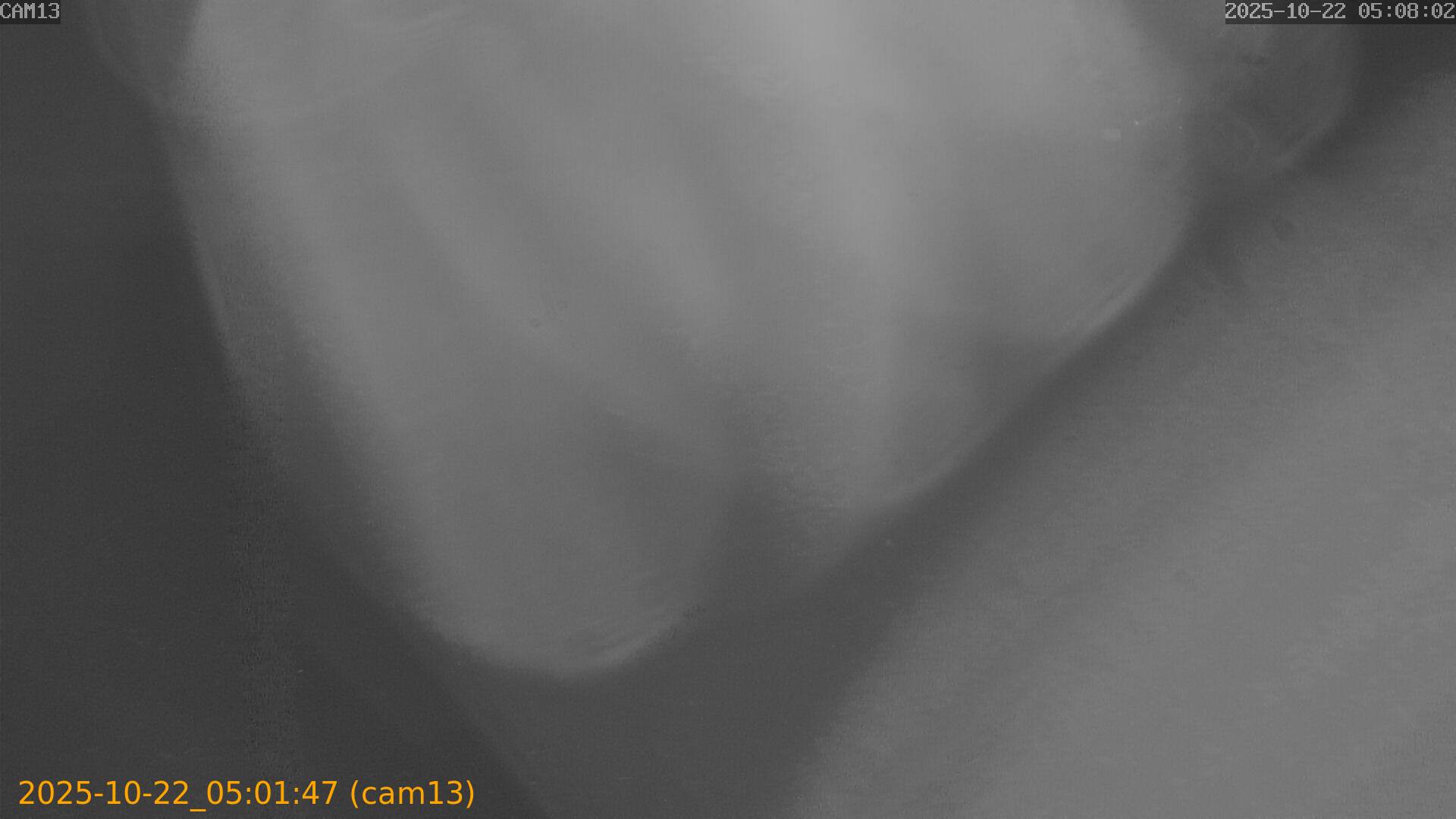 20251022050147