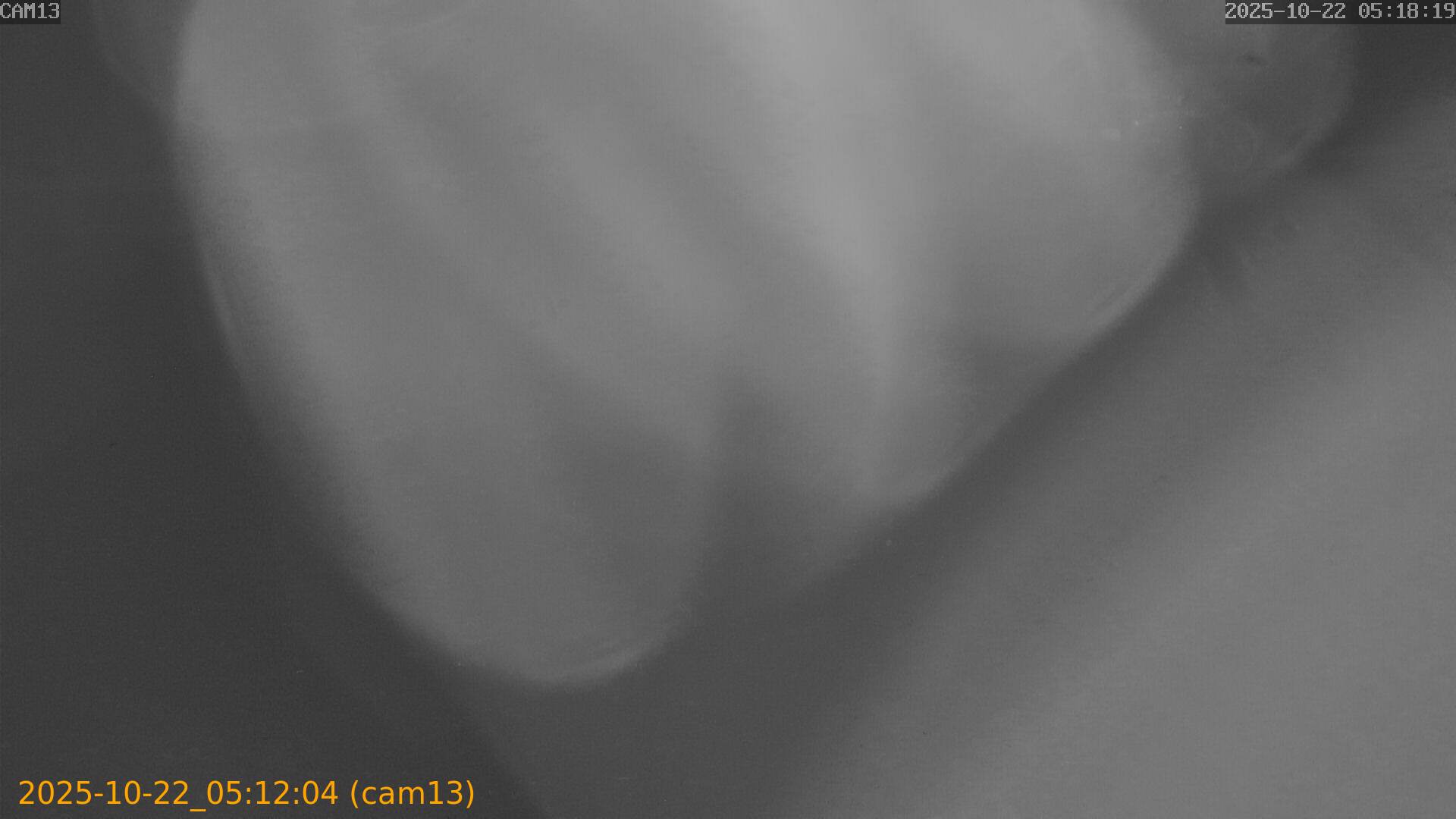 20251022051204
