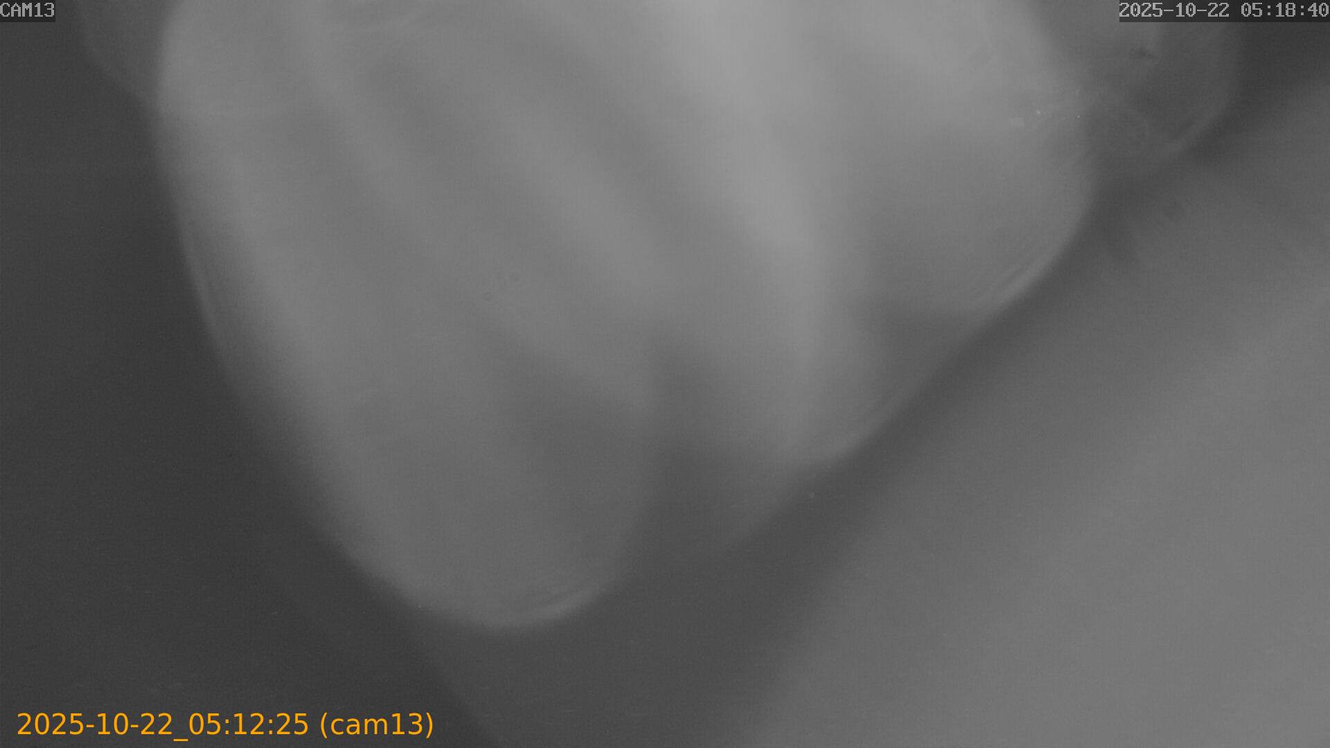20251022051225