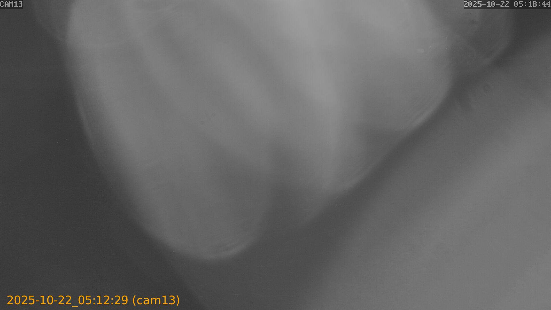 20251022051229