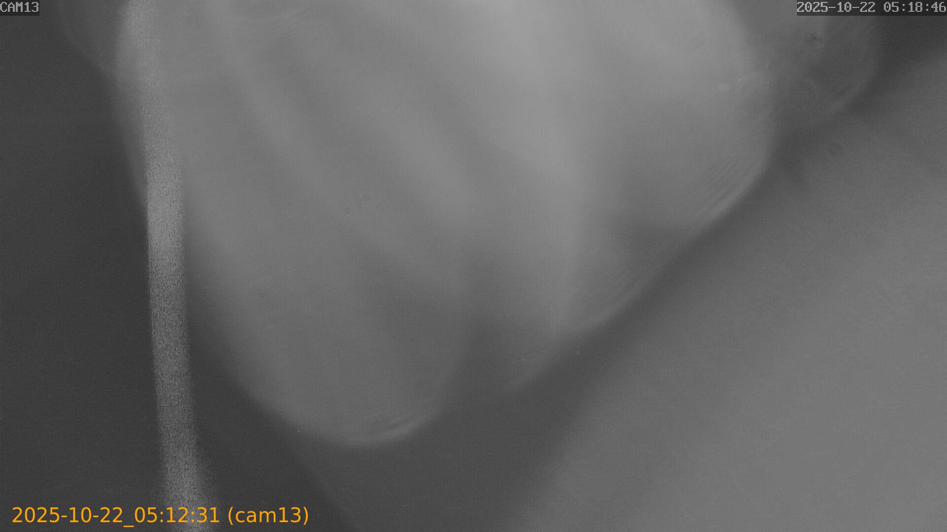 20251022051231