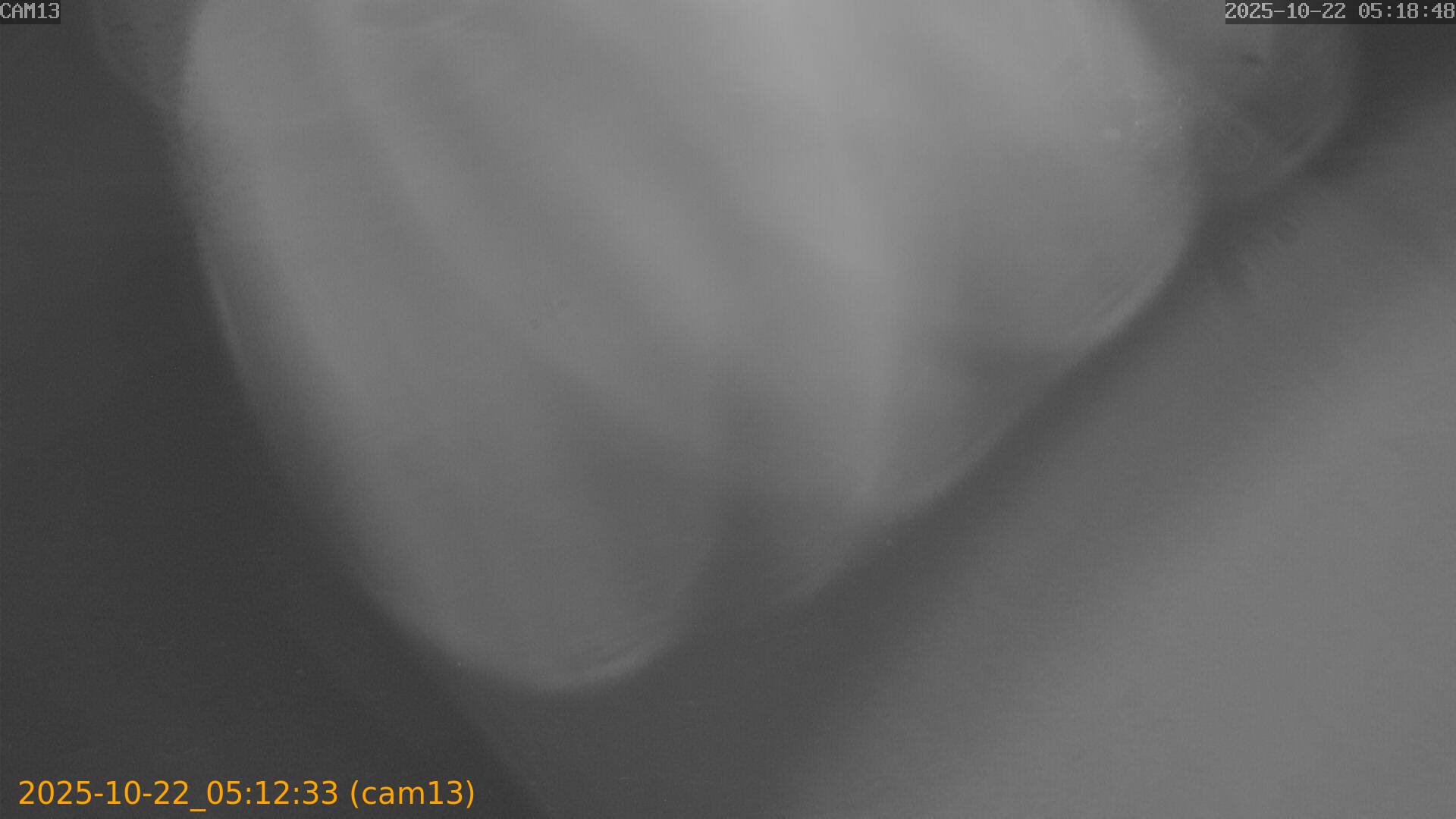 20251022051233
