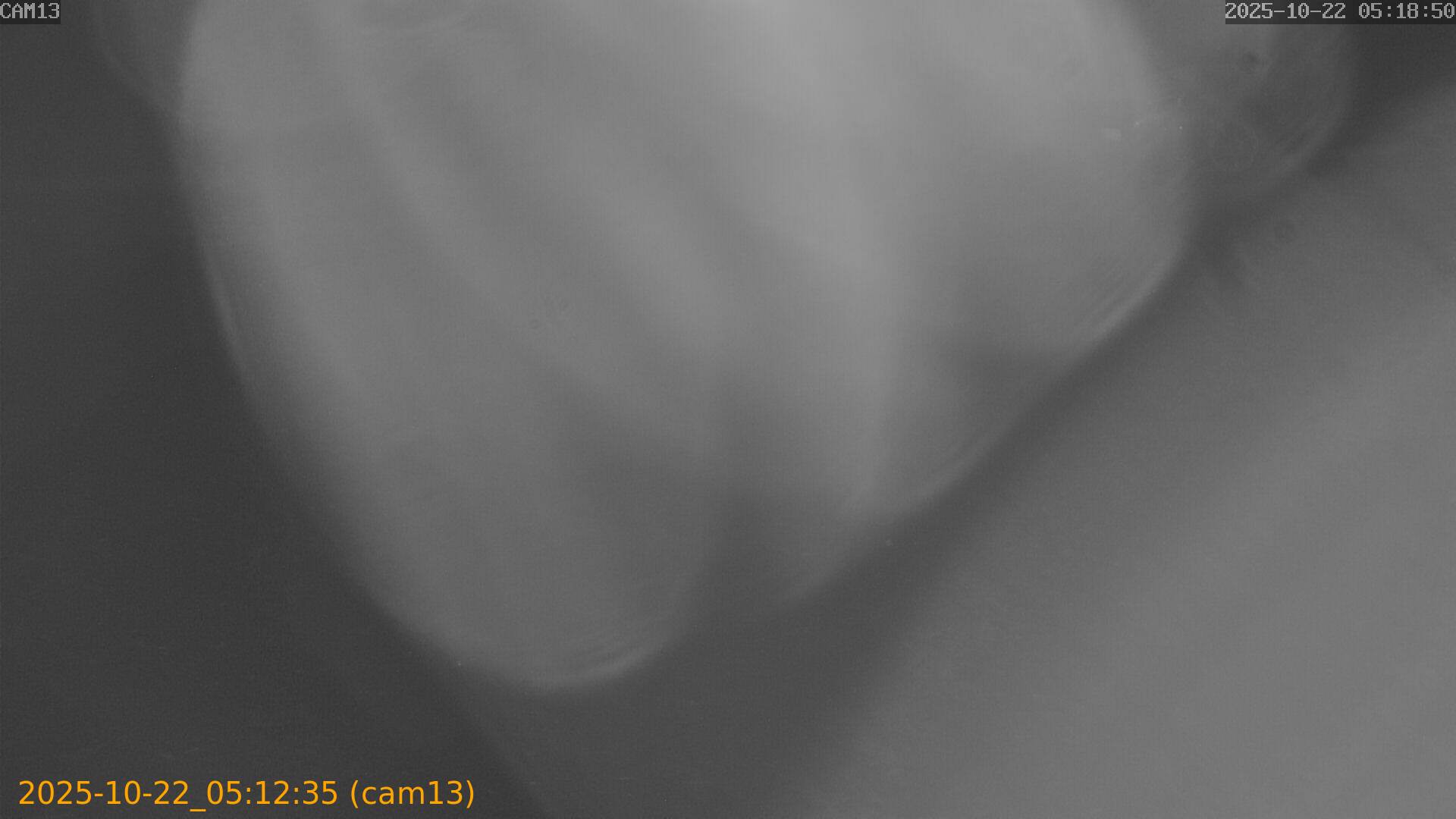 20251022051235
