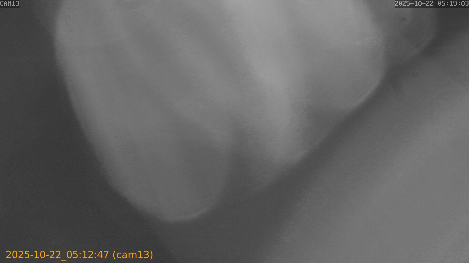 20251022051247