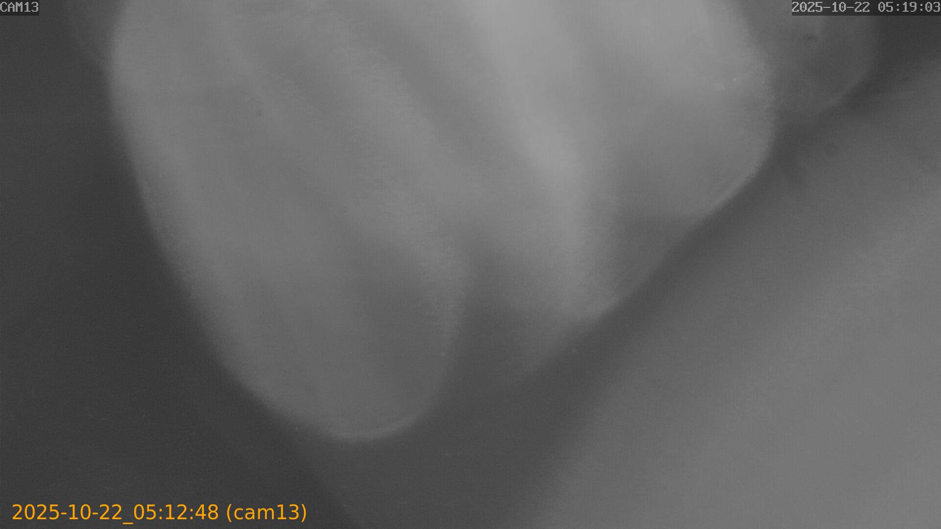 20251022051248