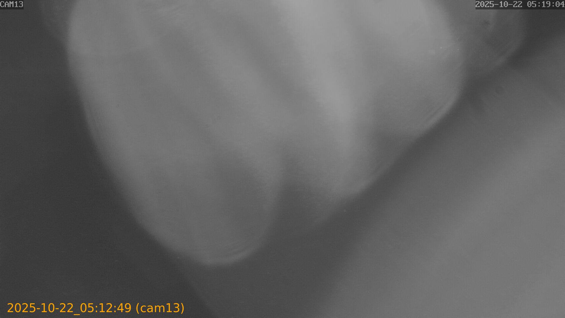 20251022051249