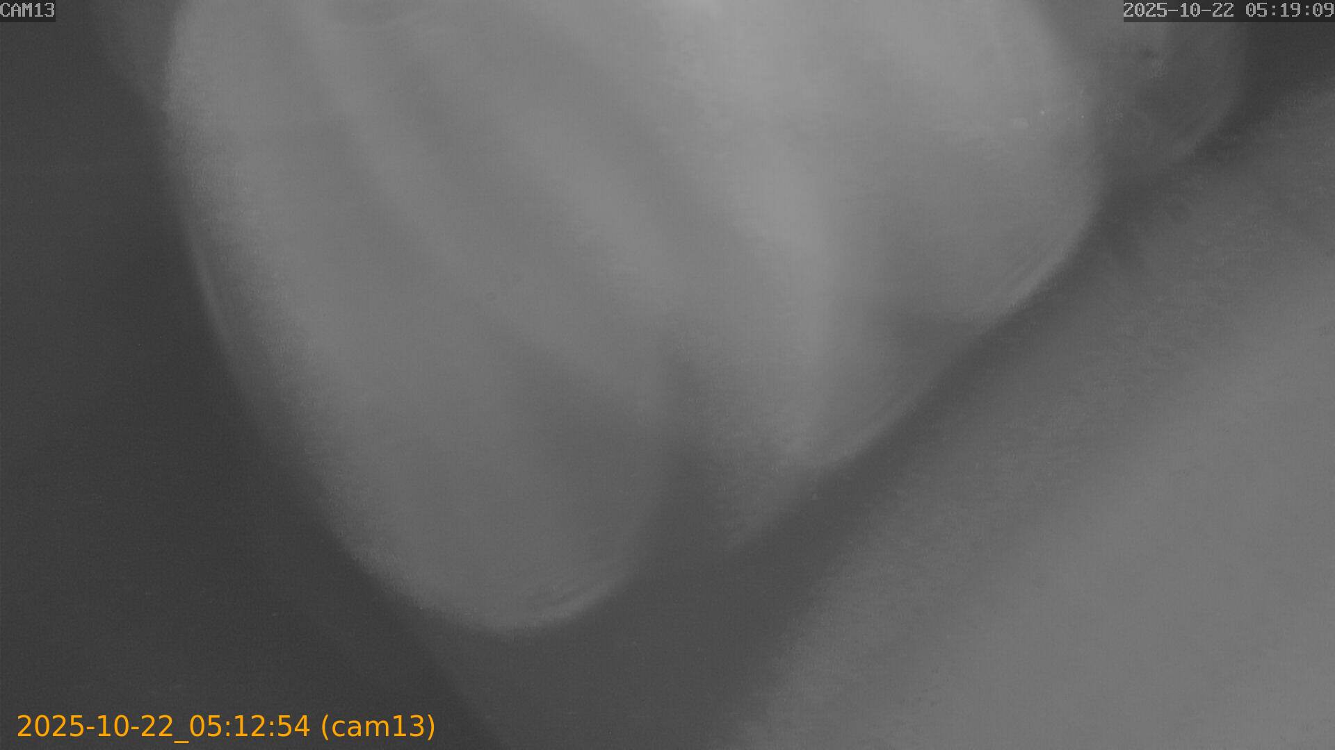 20251022051254