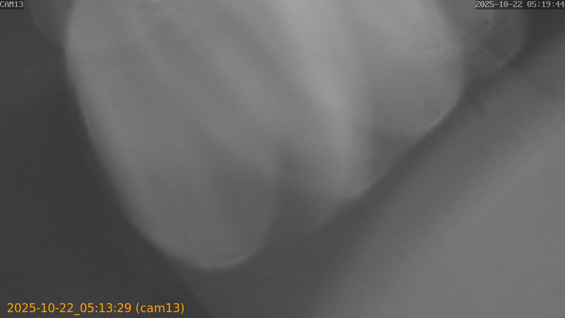 20251022051329