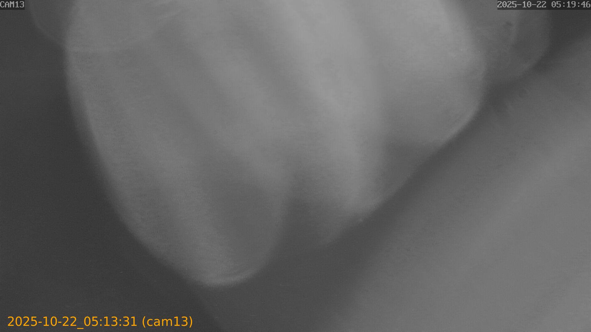 20251022051331