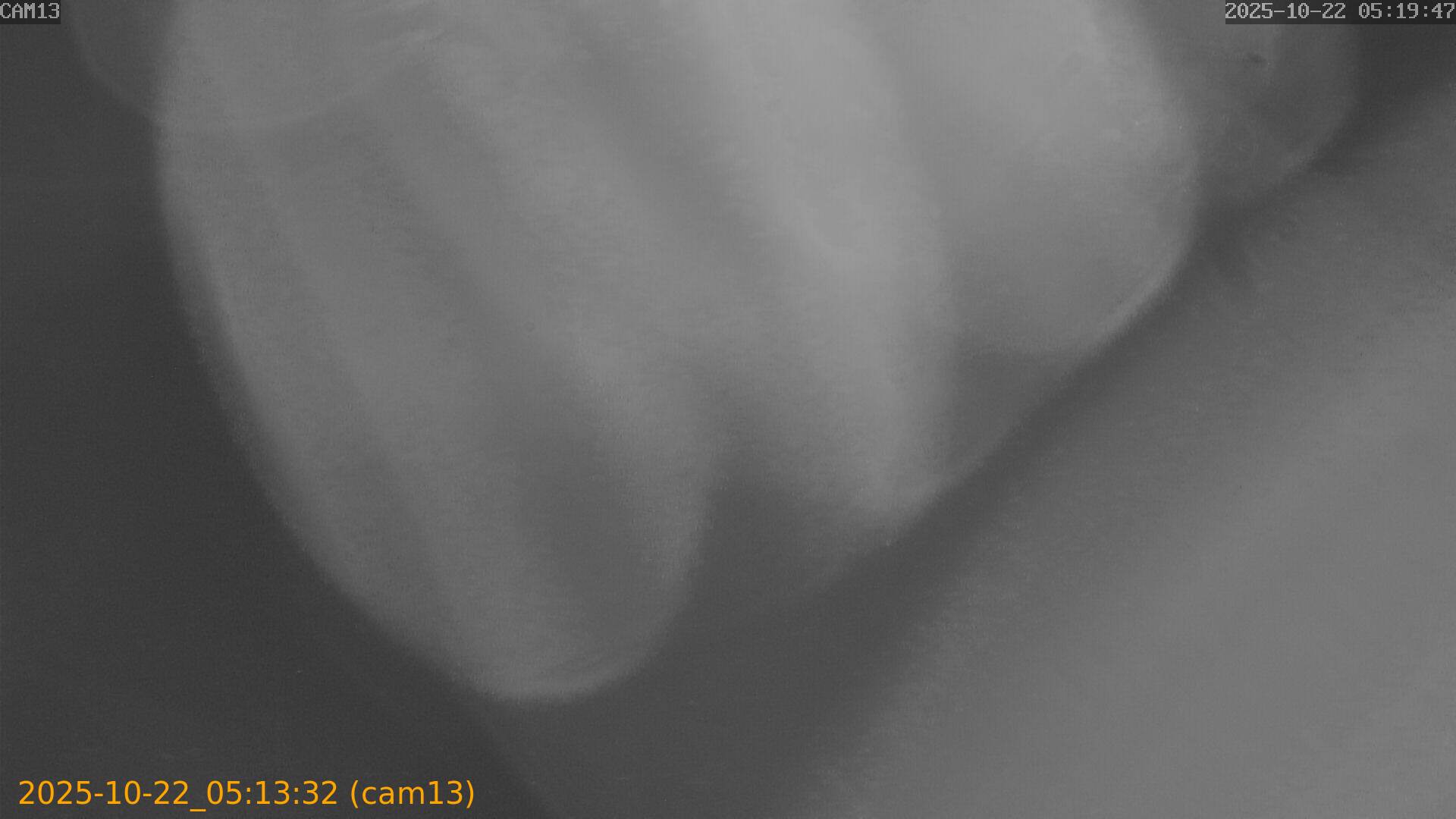 20251022051332
