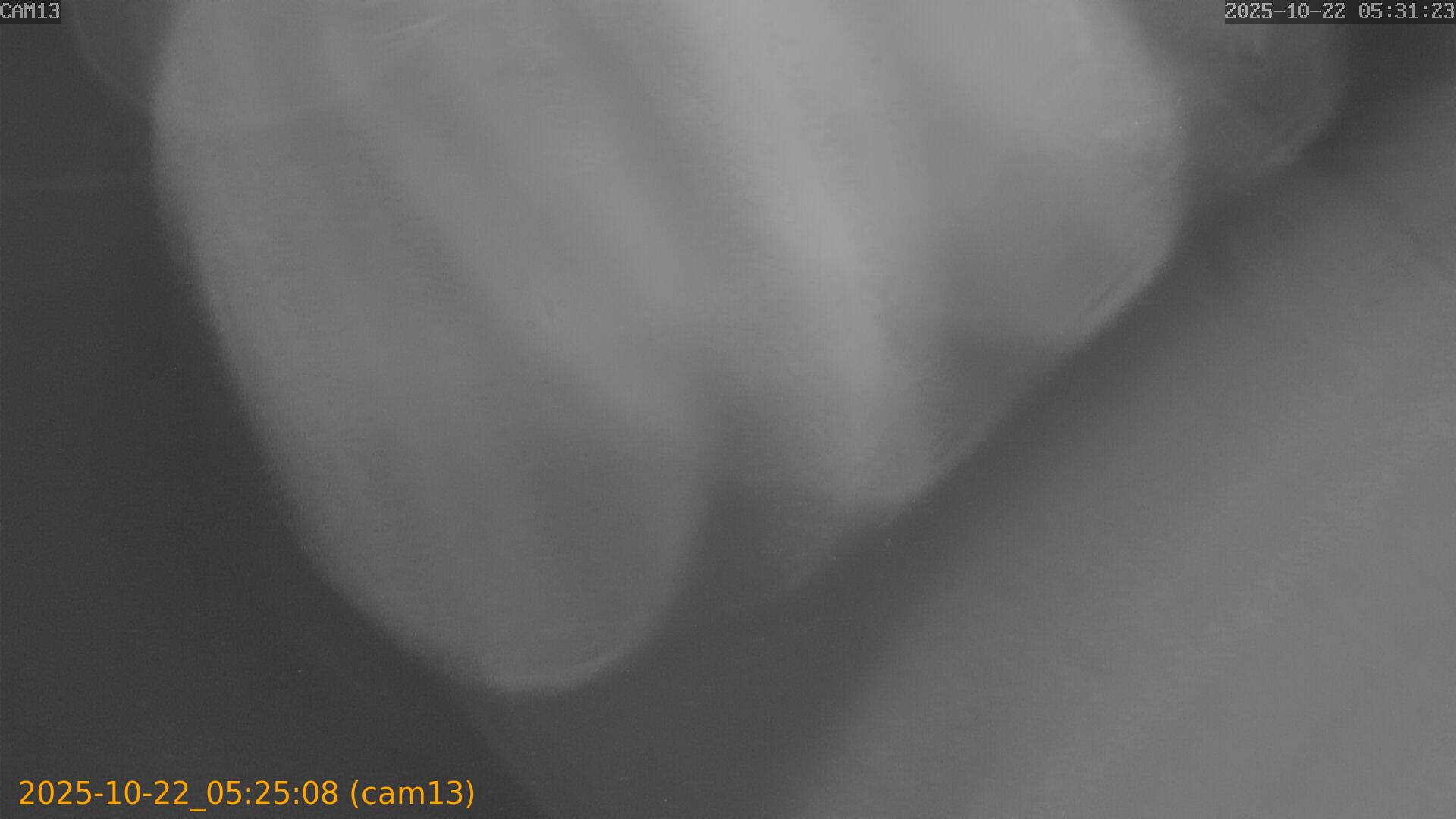 20251022052508