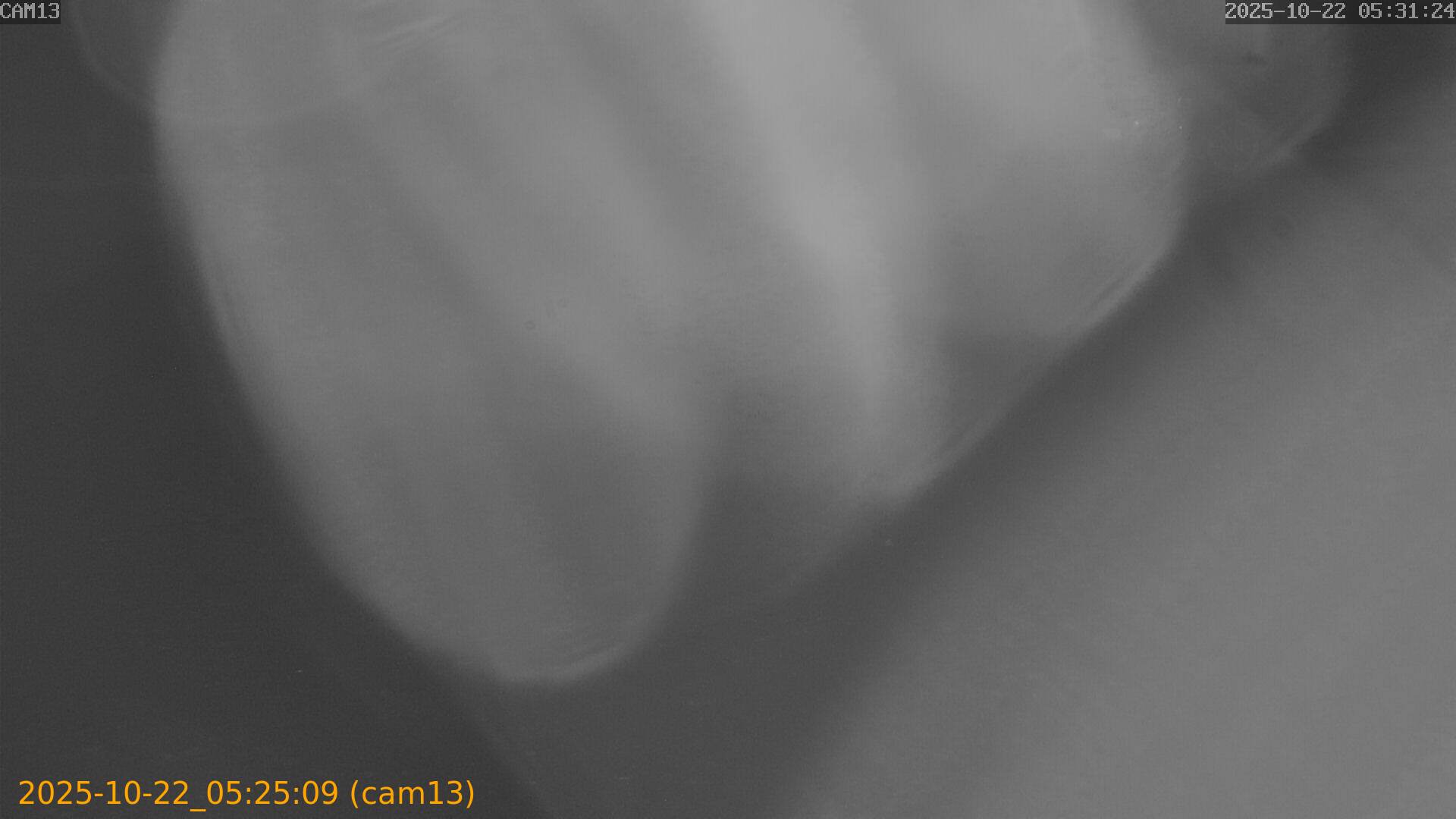 20251022052509