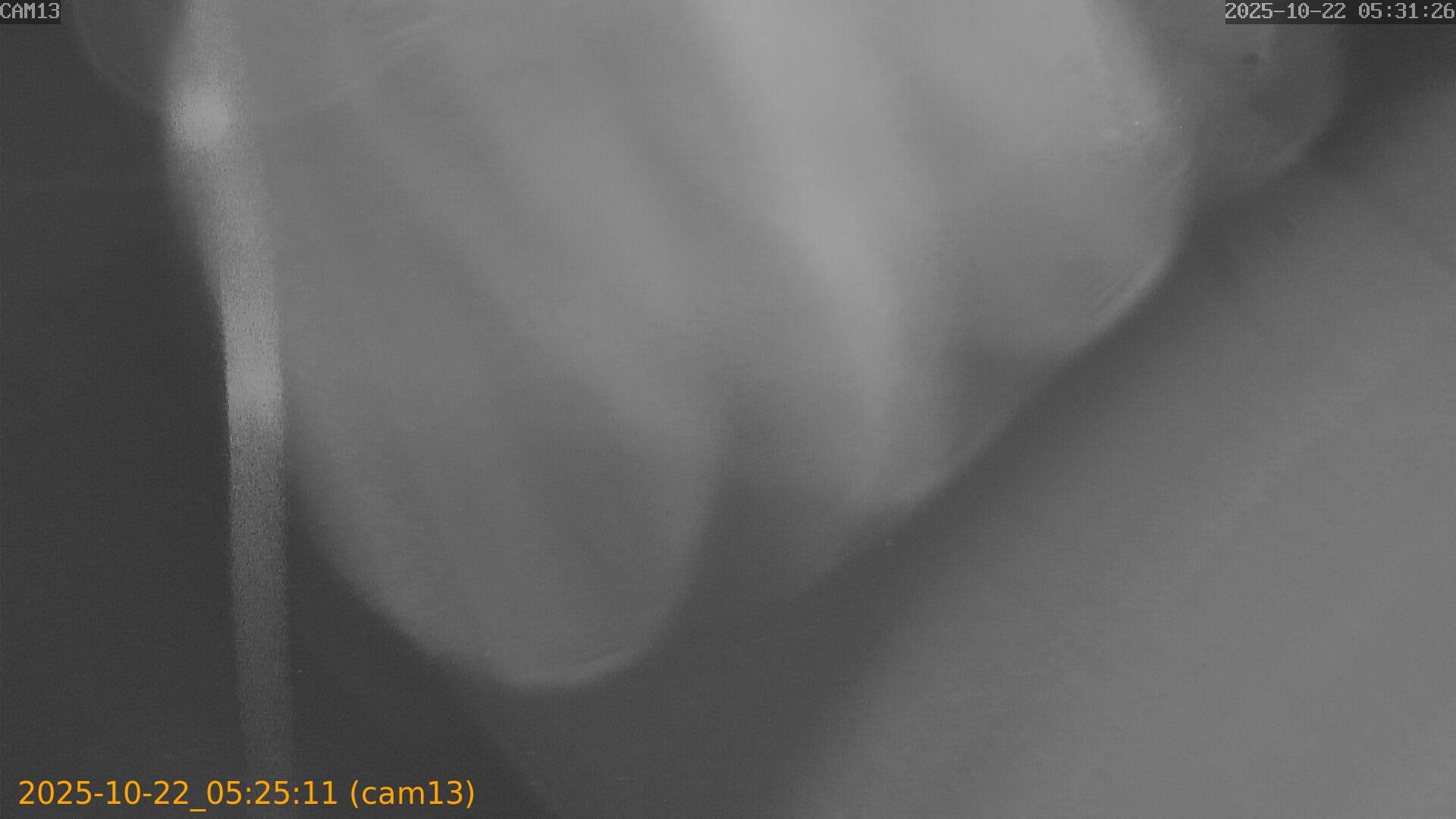 20251022052511