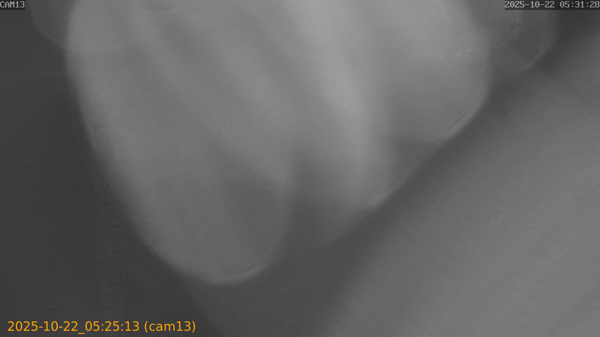 20251022052513