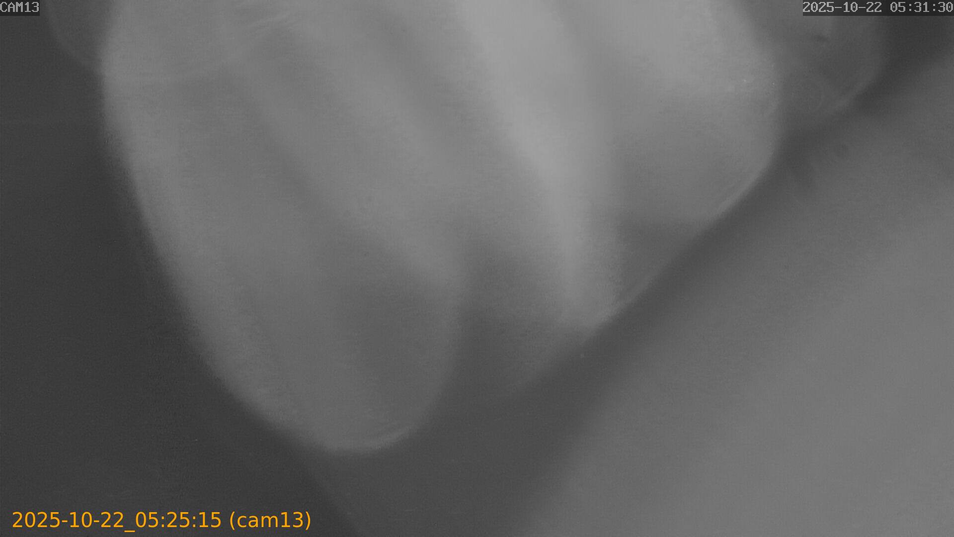 20251022052515