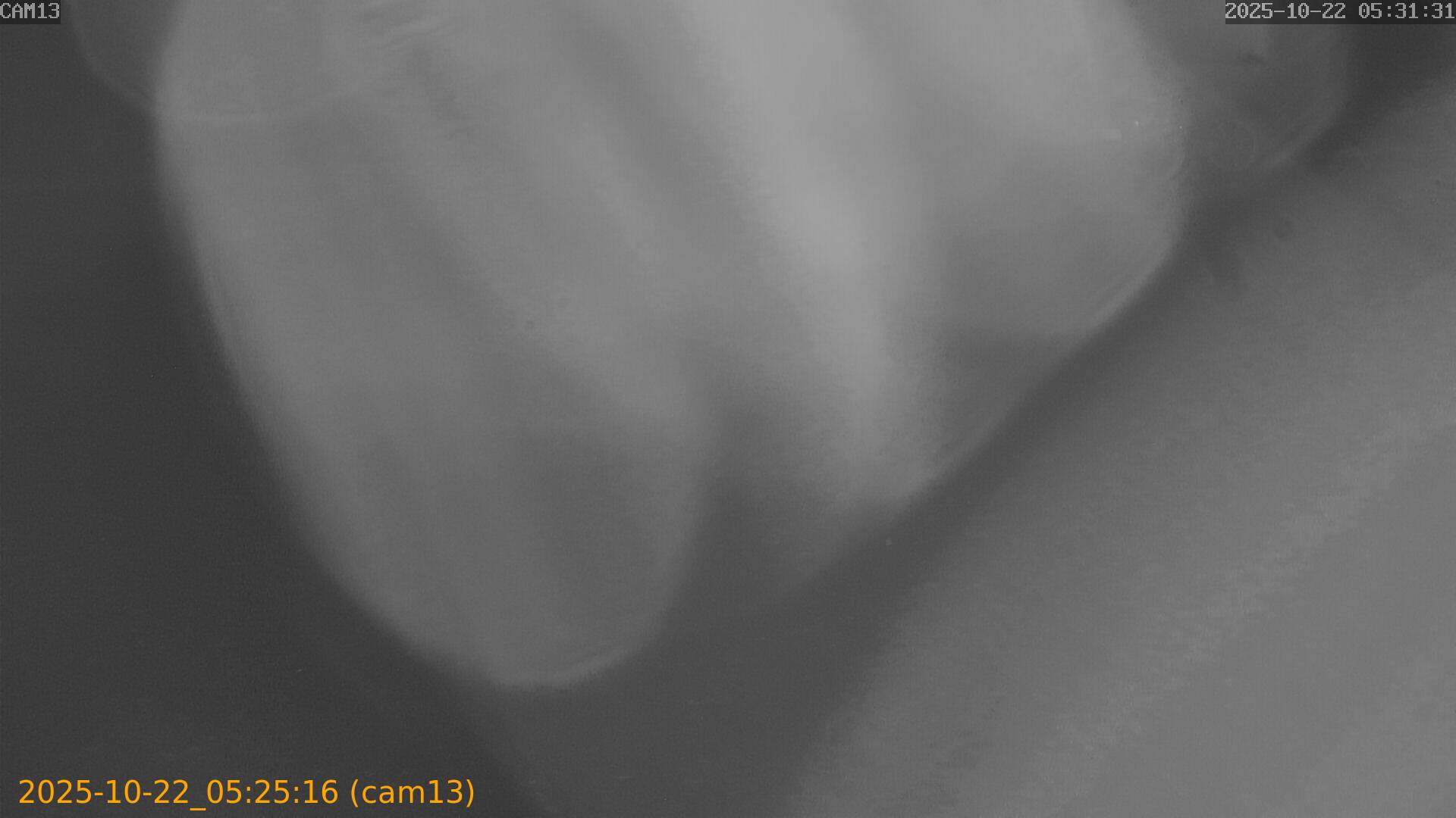 20251022052516