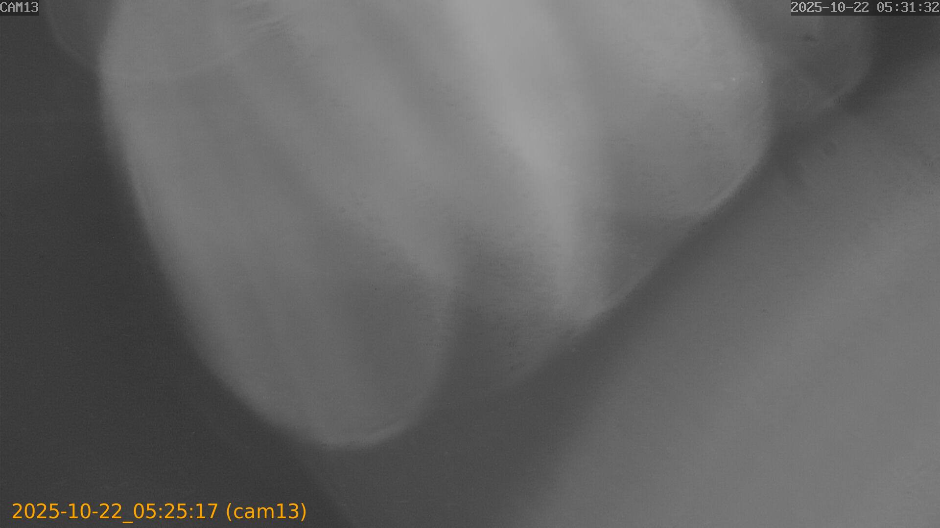 20251022052517