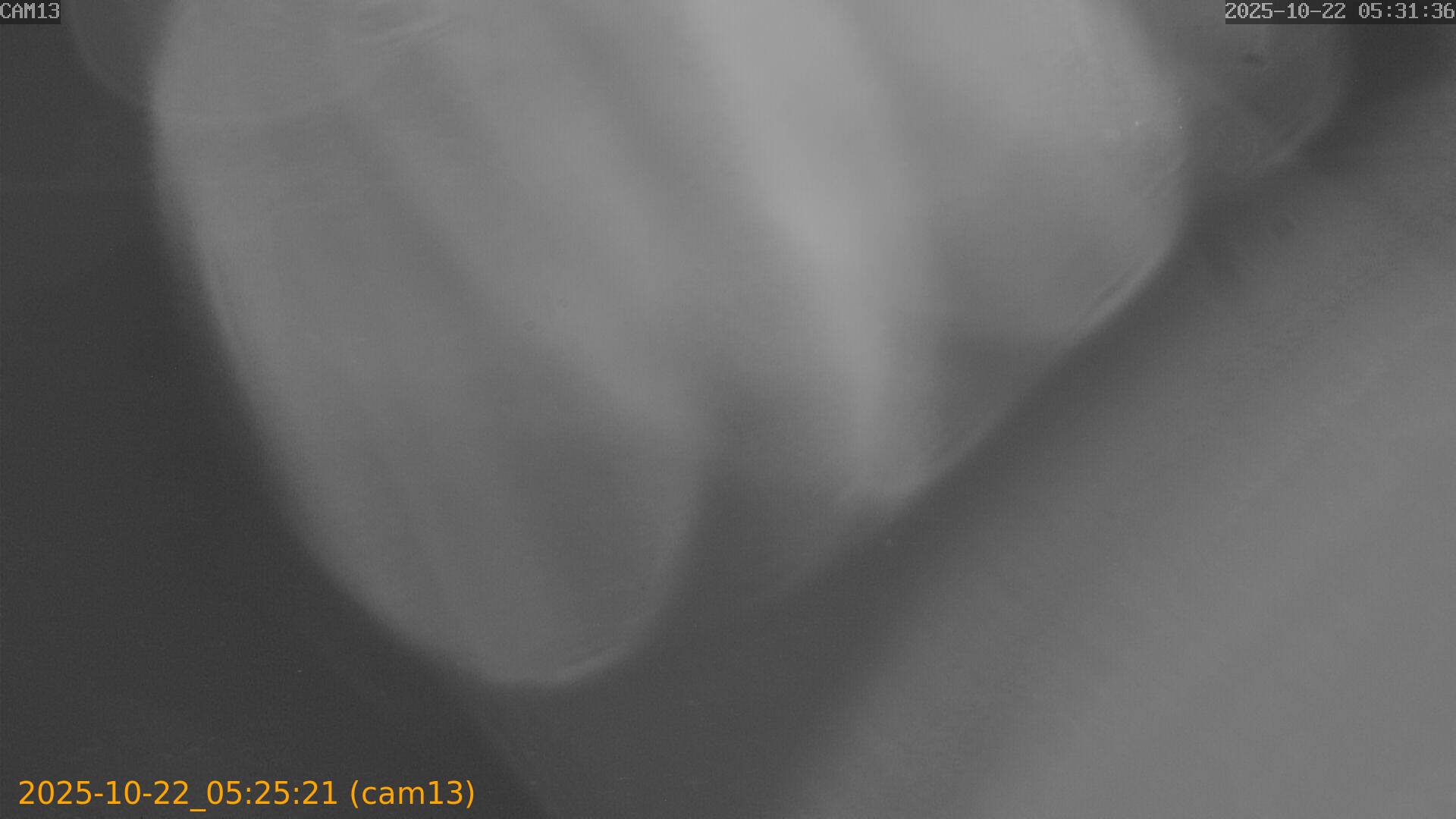 20251022052521