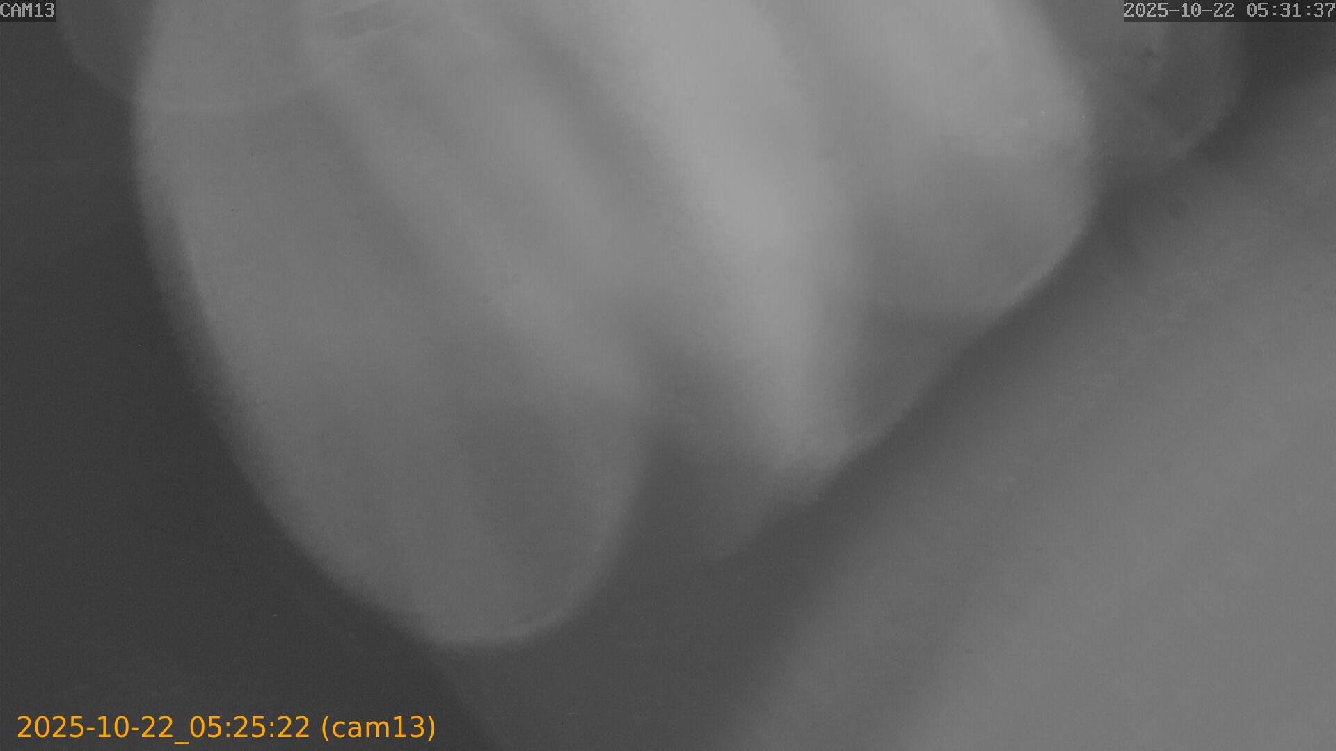 20251022052522