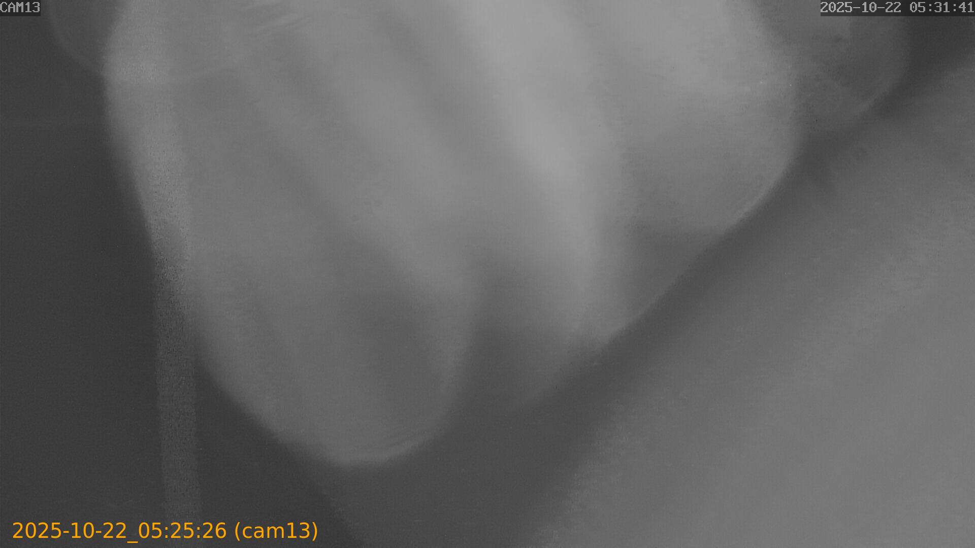 20251022052526