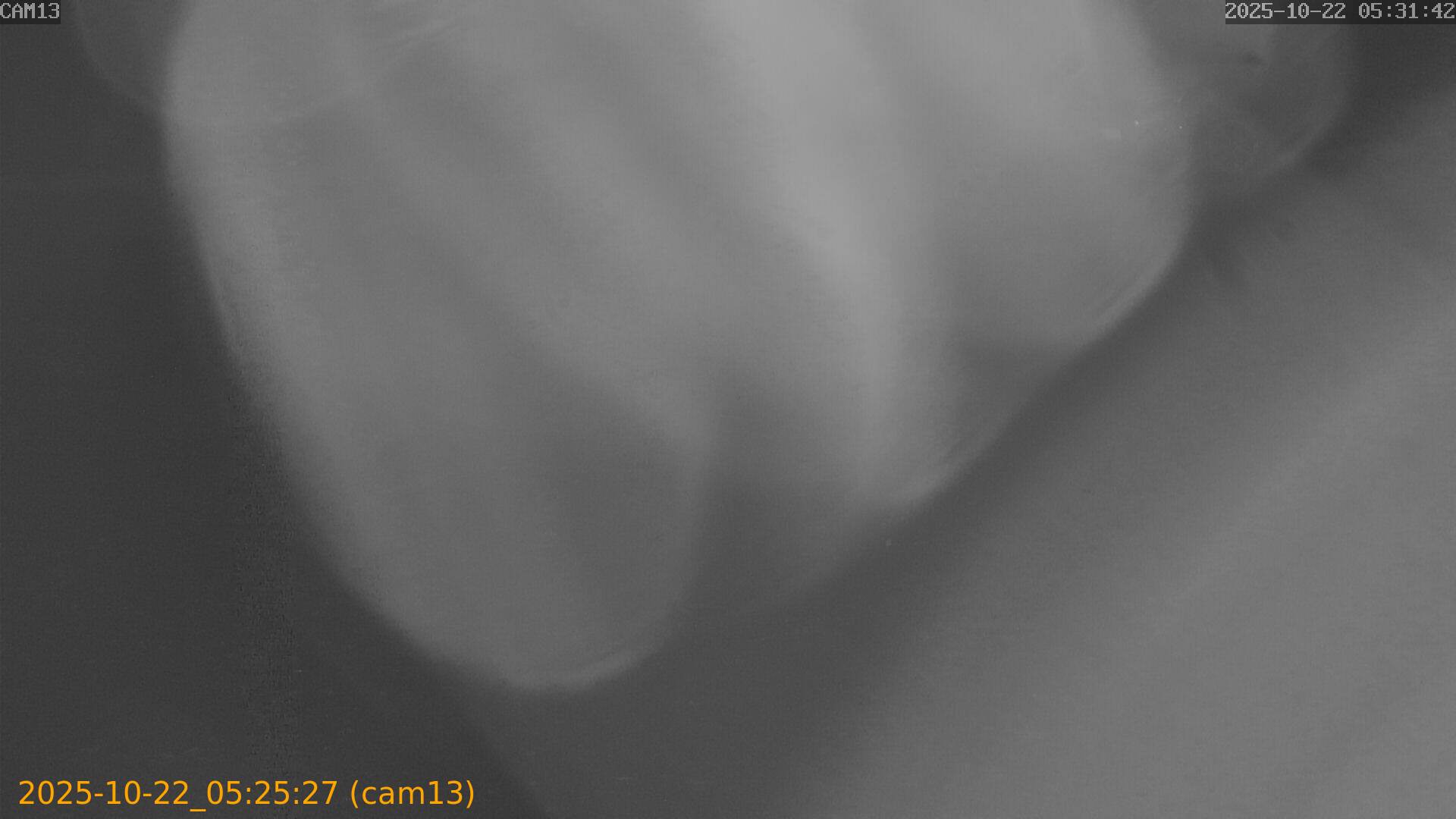 20251022052527