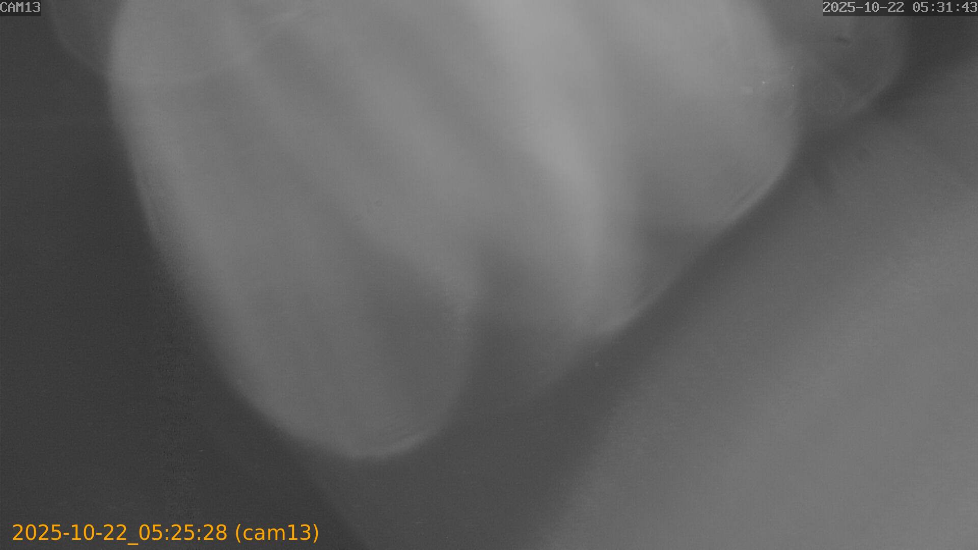 20251022052528
