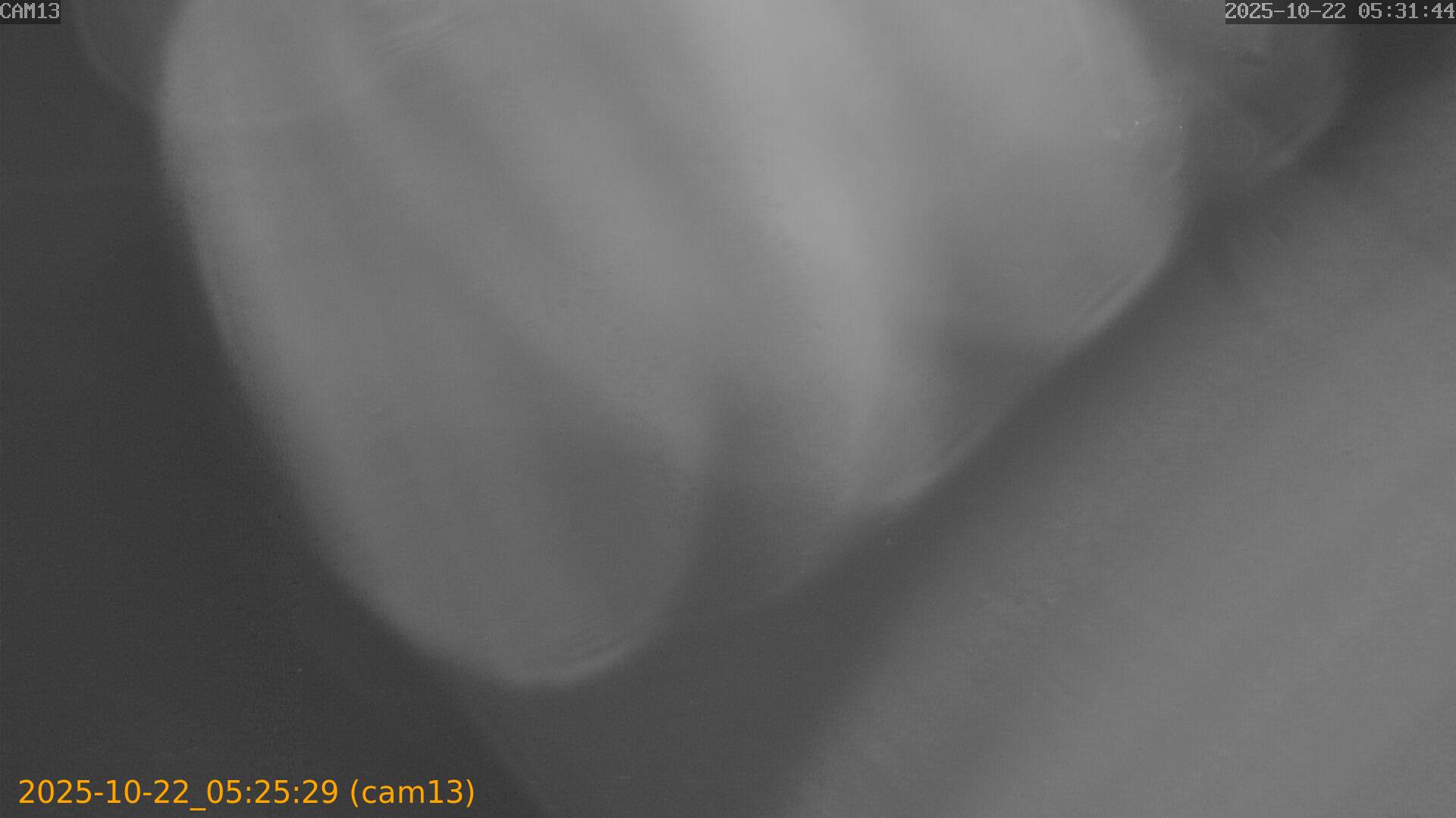 20251022052529