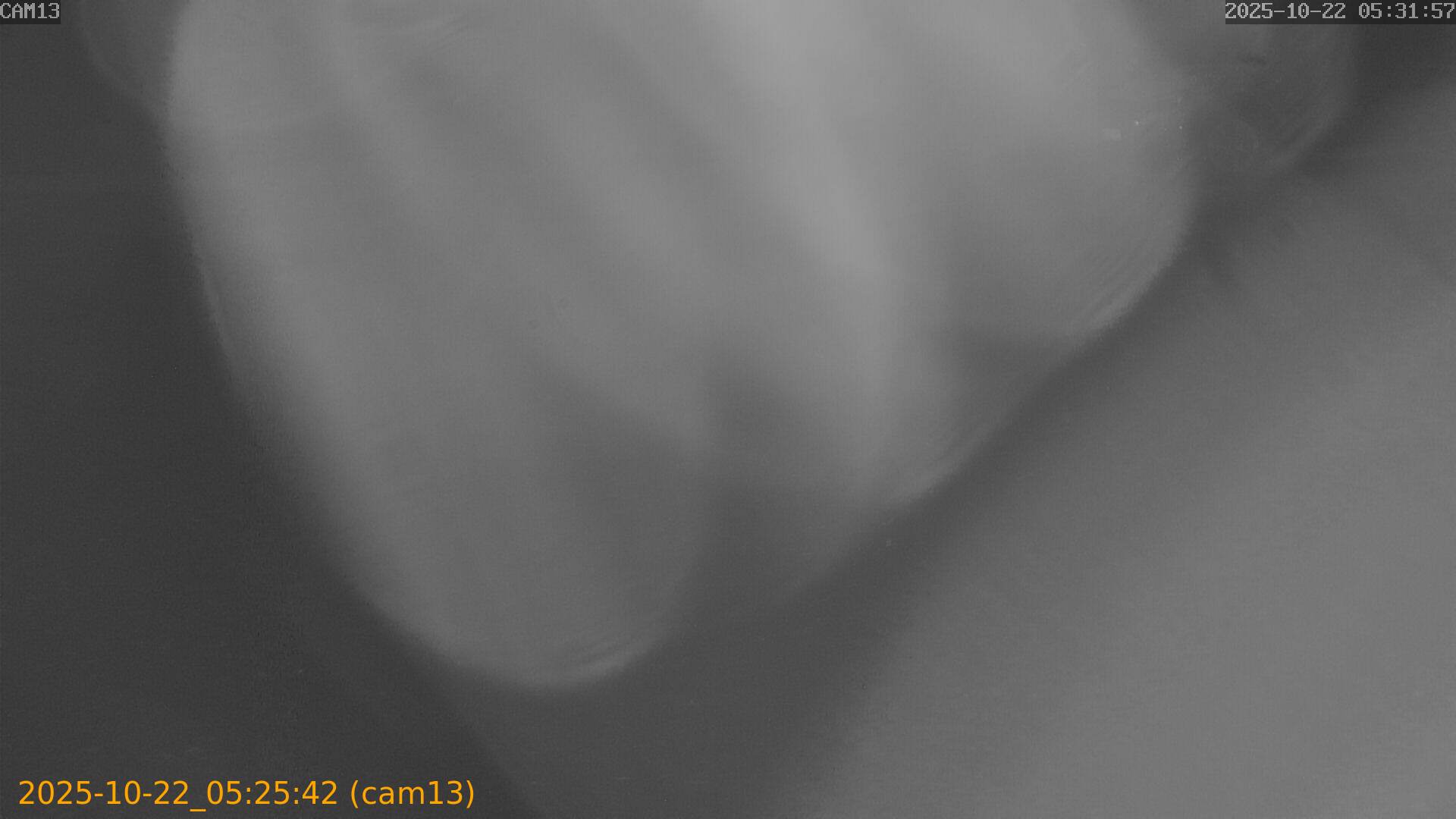 20251022052542