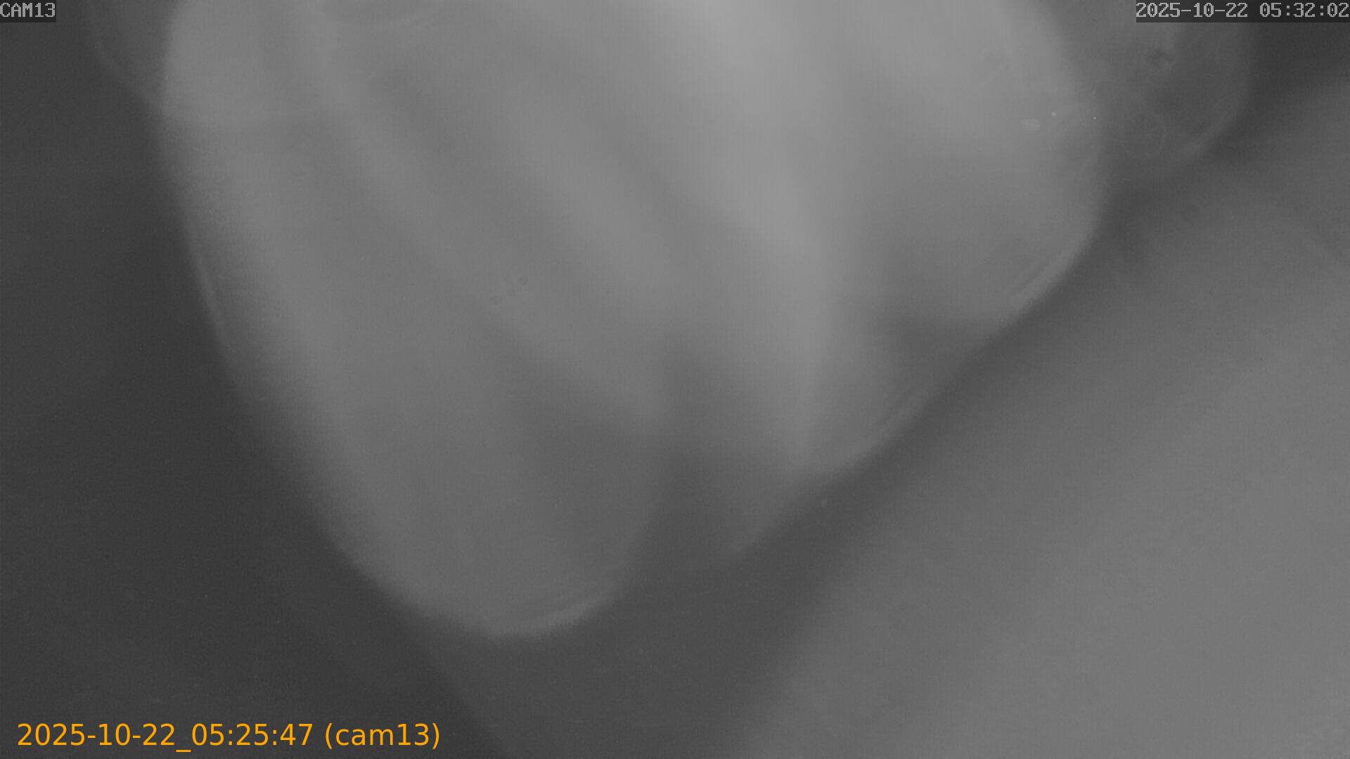 20251022052547