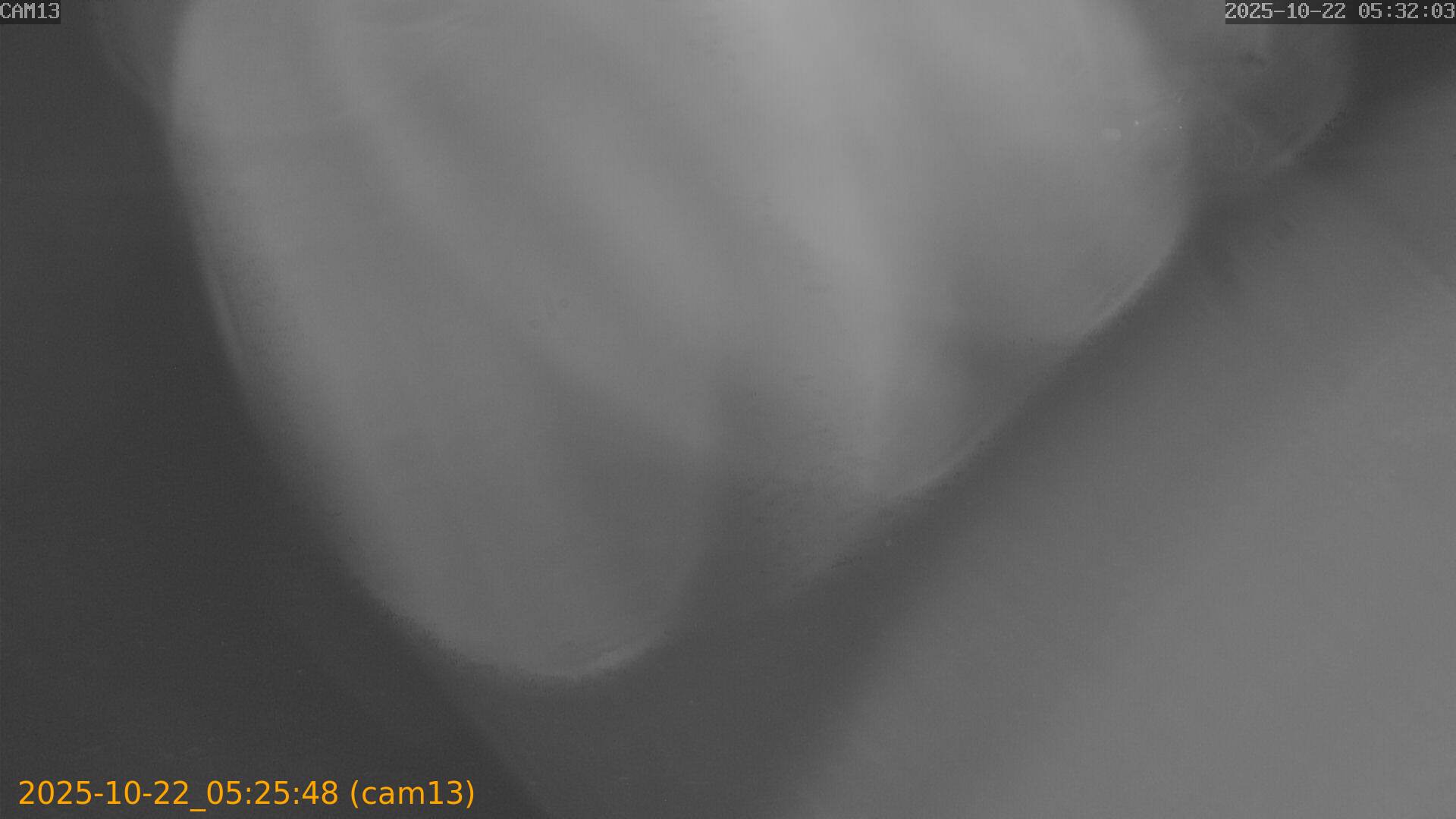20251022052548